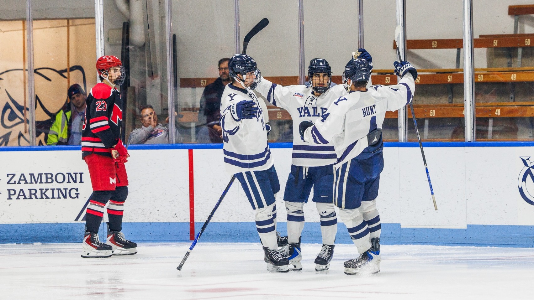 Goal celebration