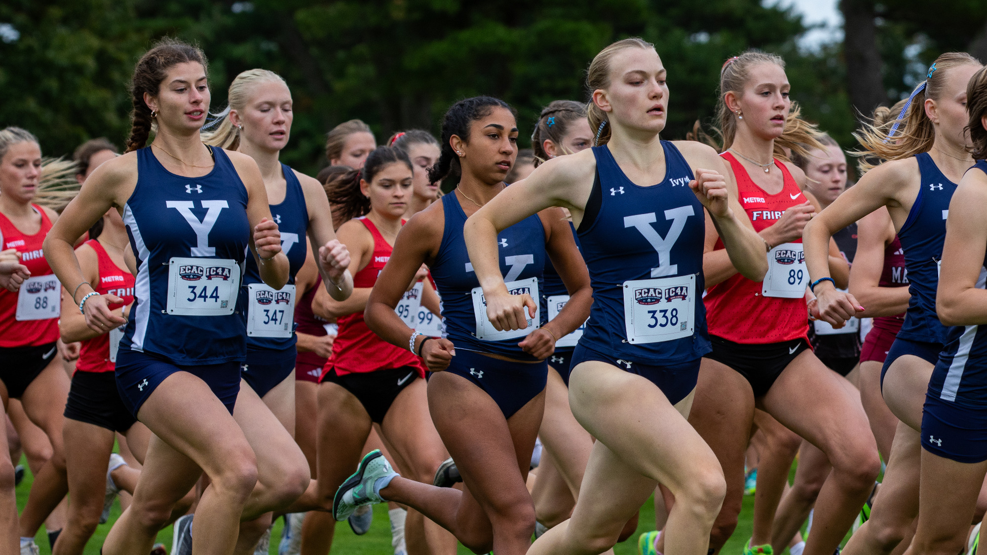 Women's cross country.
