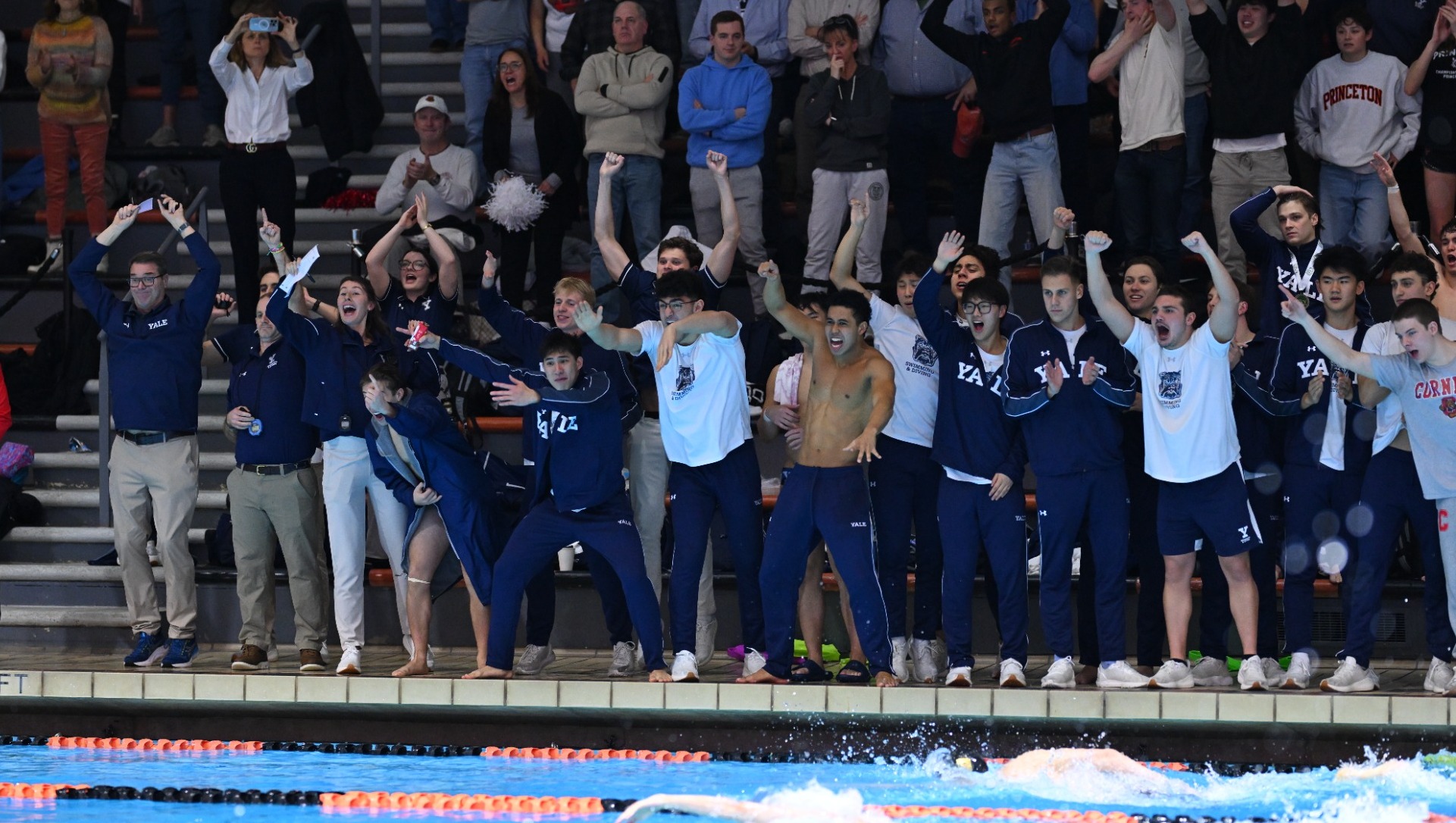 Men's Swimming & Diving 