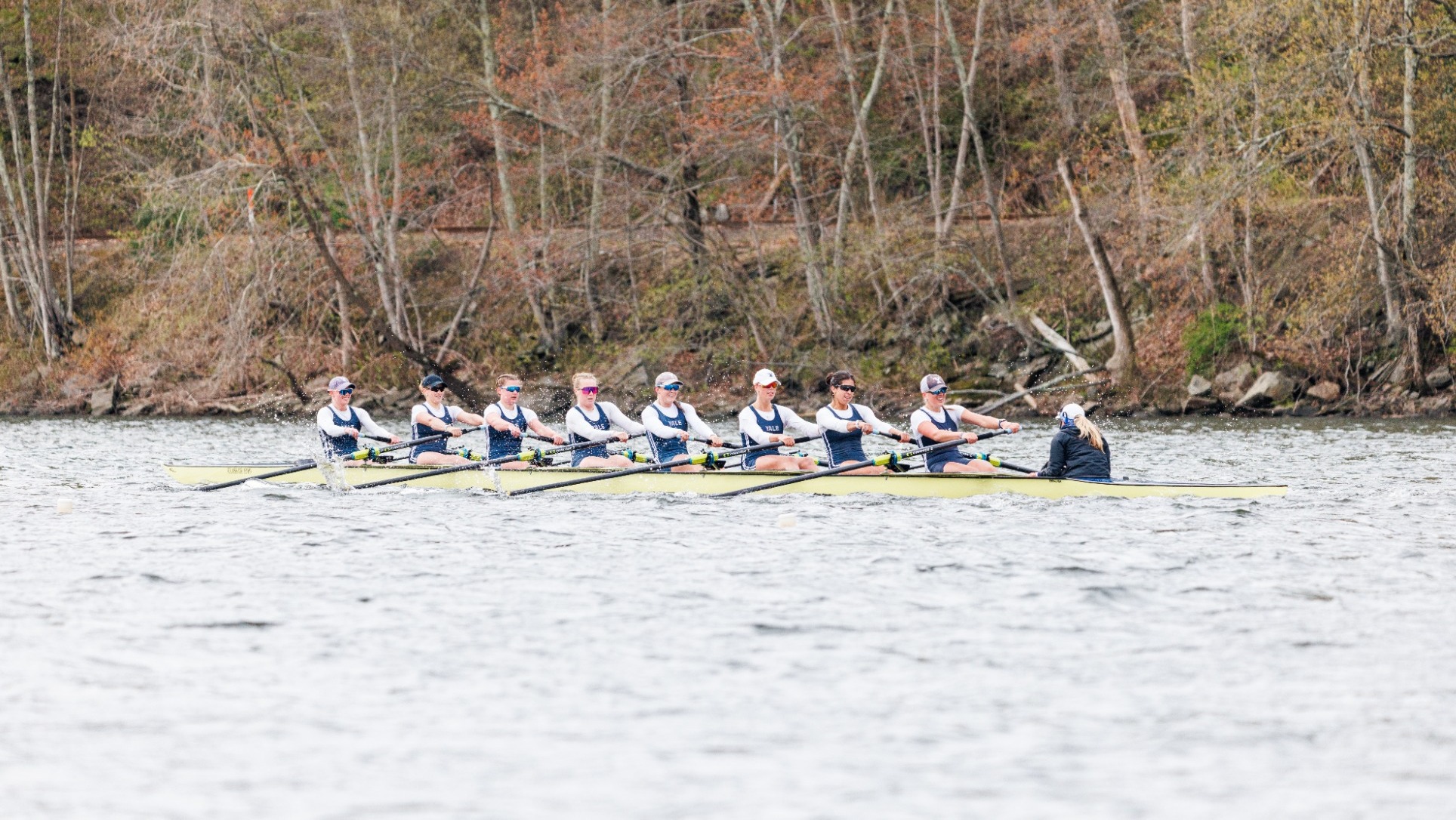 Varsity Eight