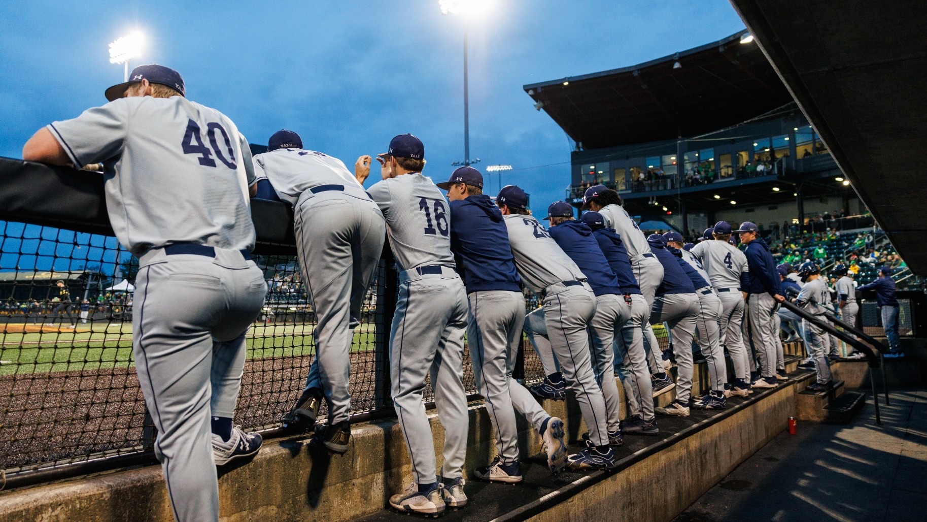 Yale Baseball 