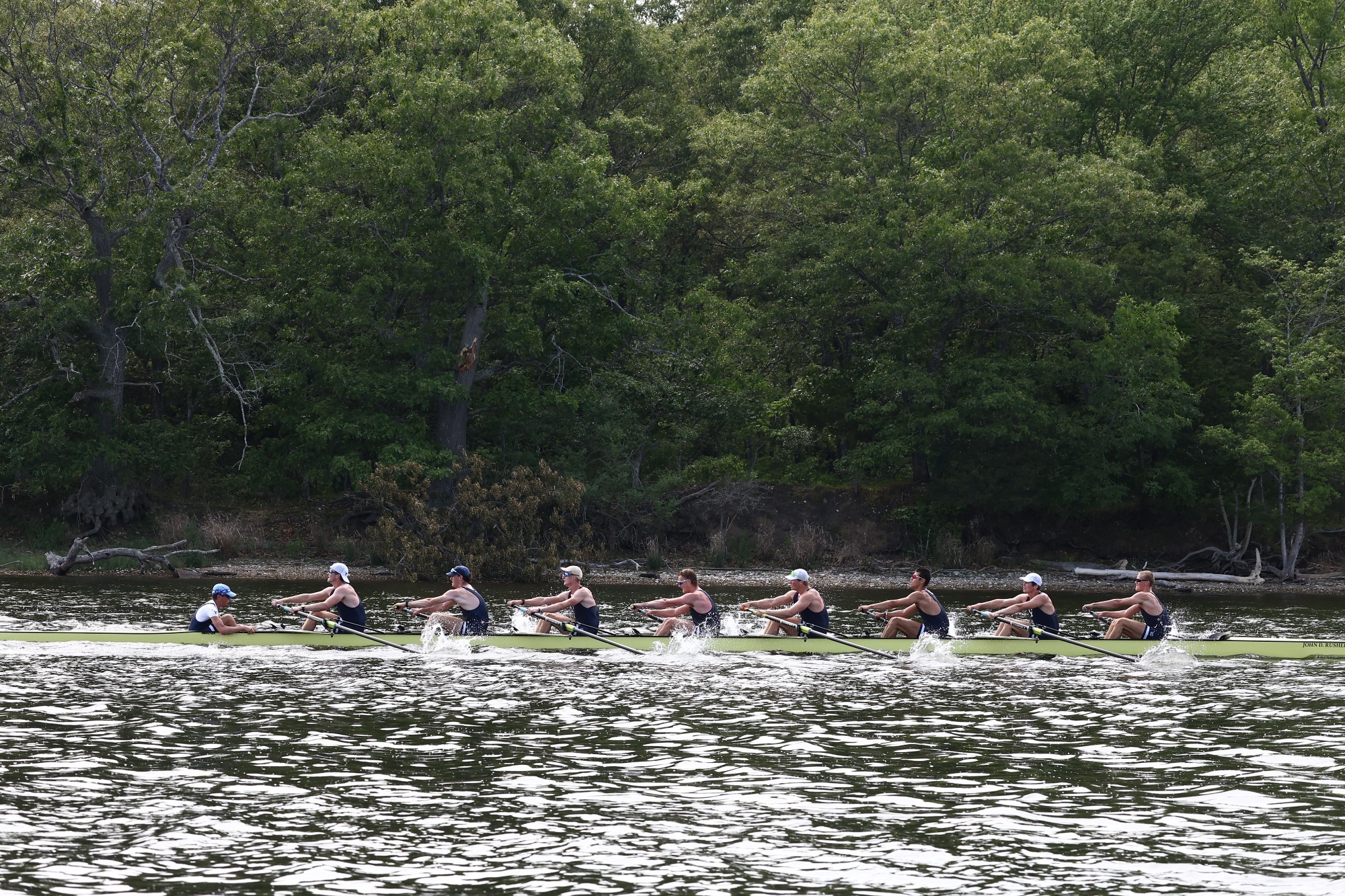 Regatta