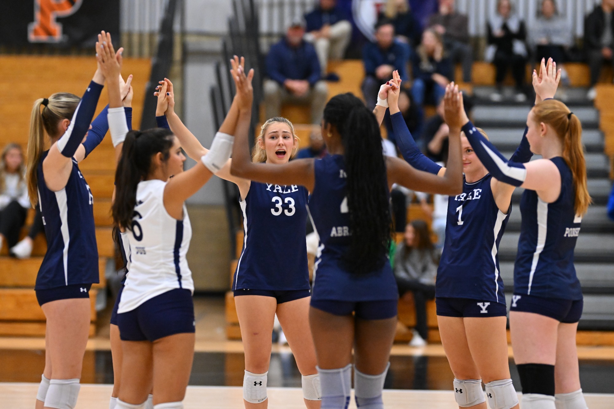 Volleyball team shot
