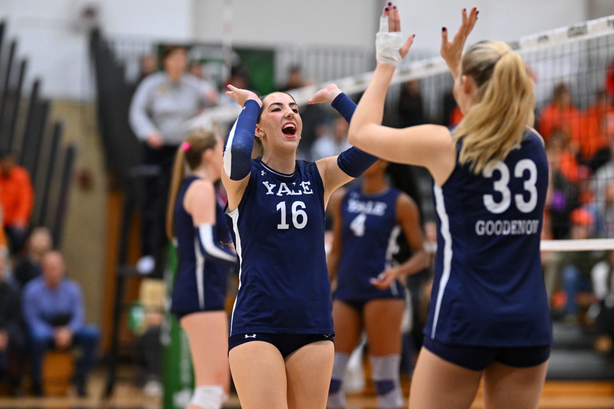 volleyball