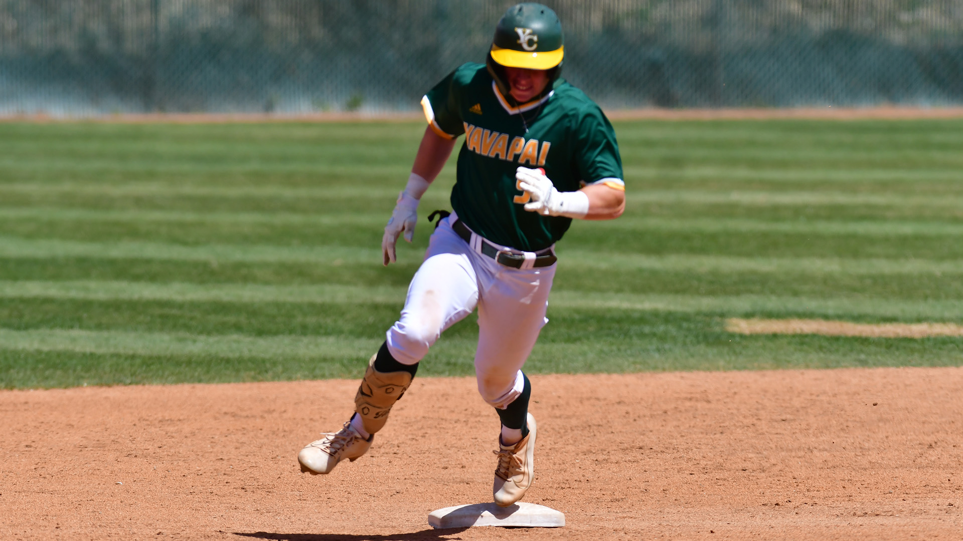 JT Taylor Baseball Yavapai College