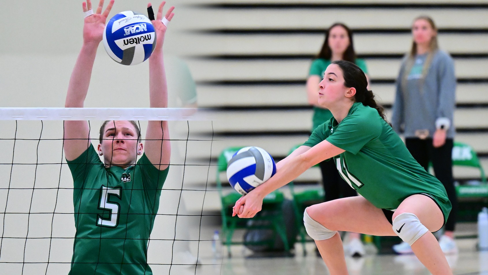 wvb-nolte-baer-all-mac