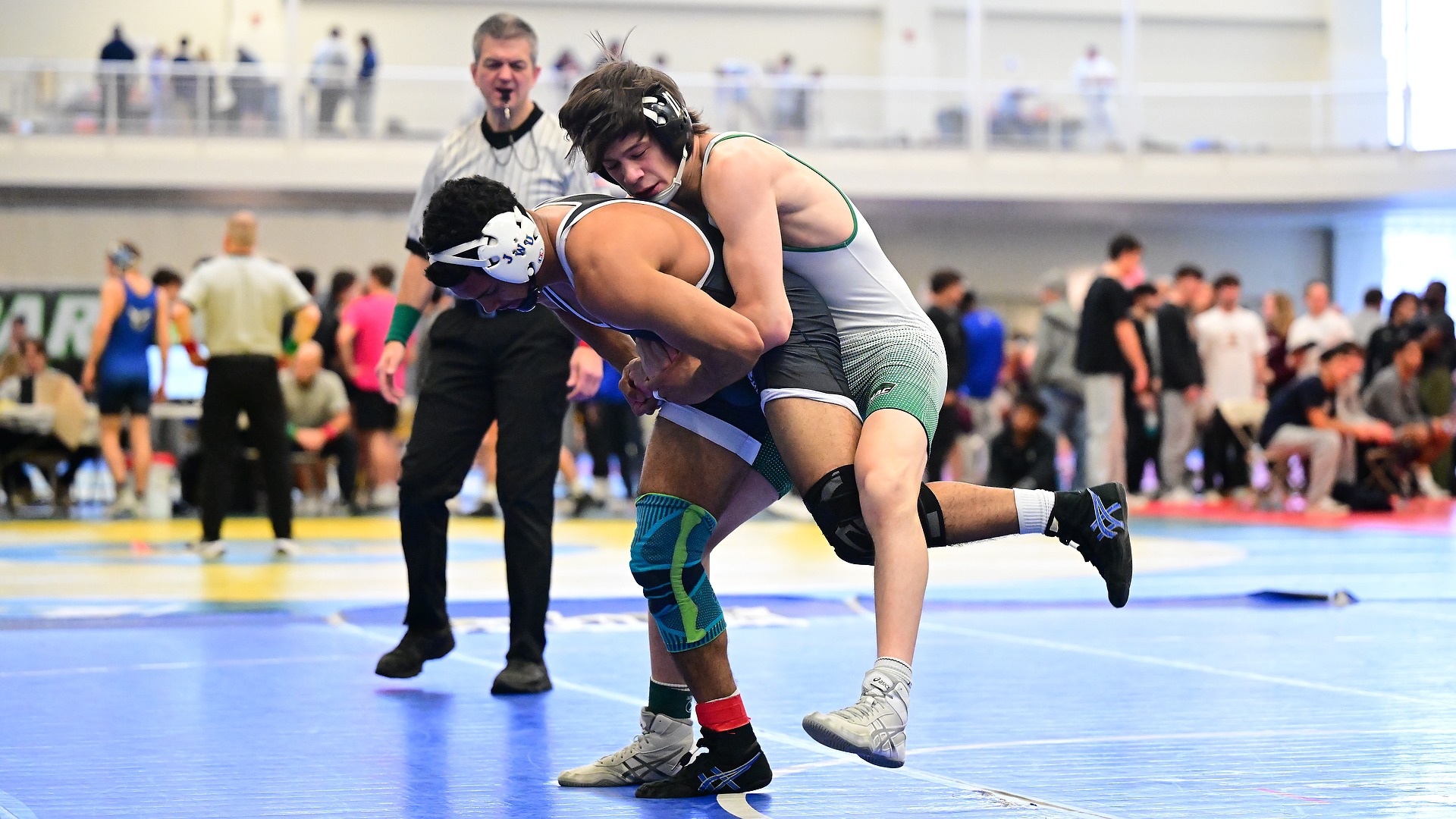 mwres-grzybek-whitehill-26