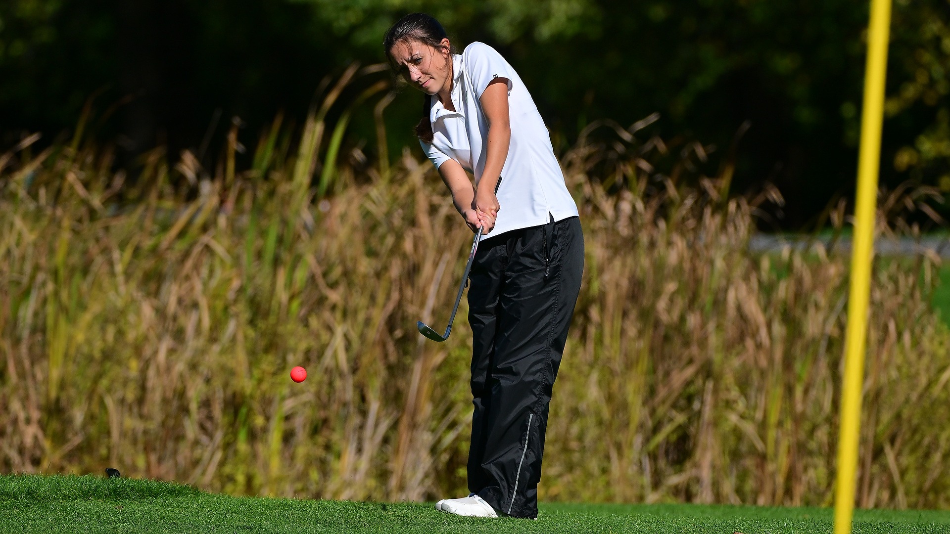 female golfer chips on to green