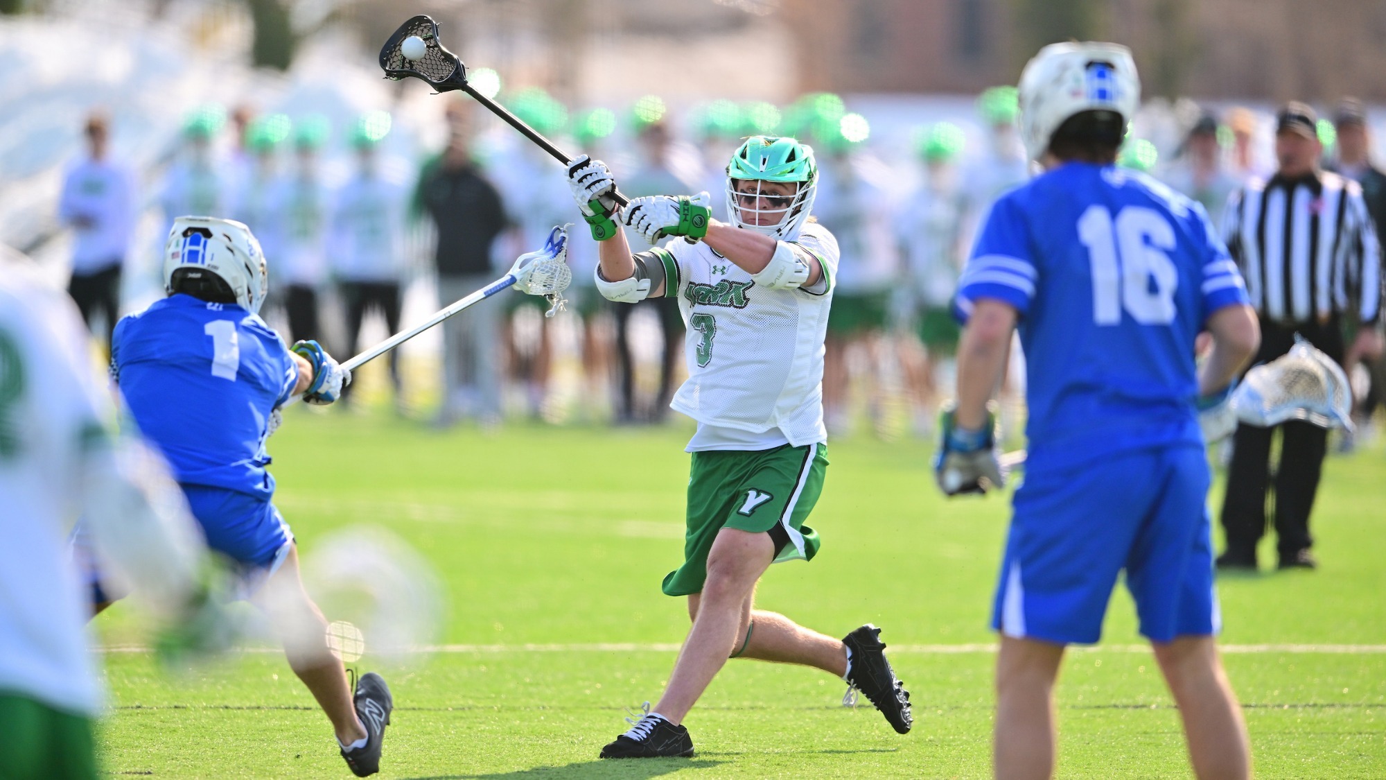 mlax-bergmann-hampden-26