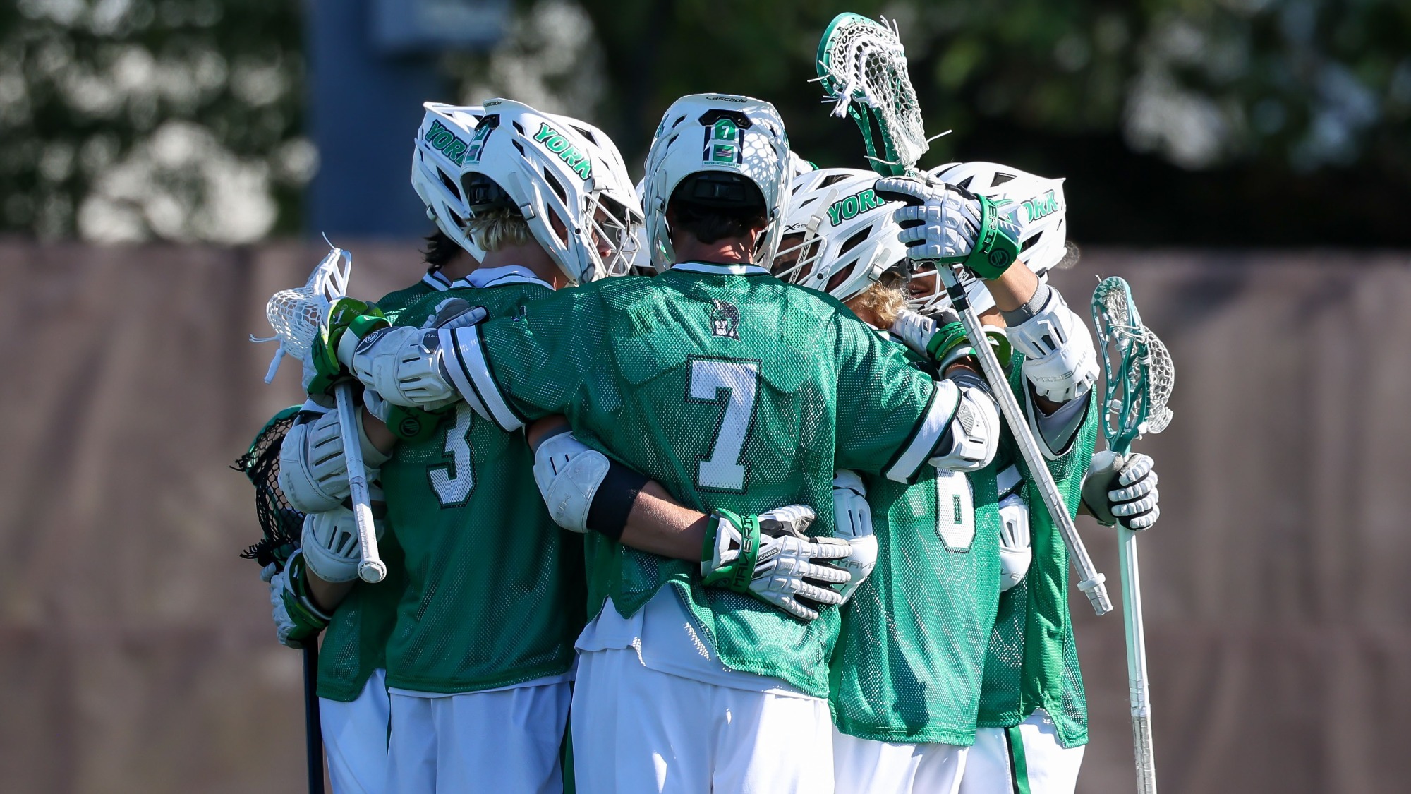 men's lacrosse players huddle up after a goal
