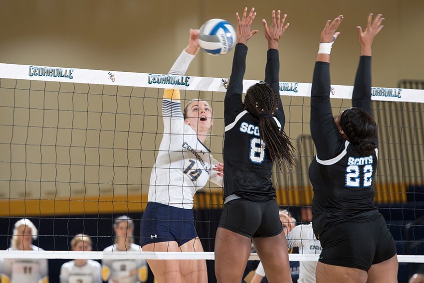 Rachel Krikke Women's Volleyball Cedarville University Athletics