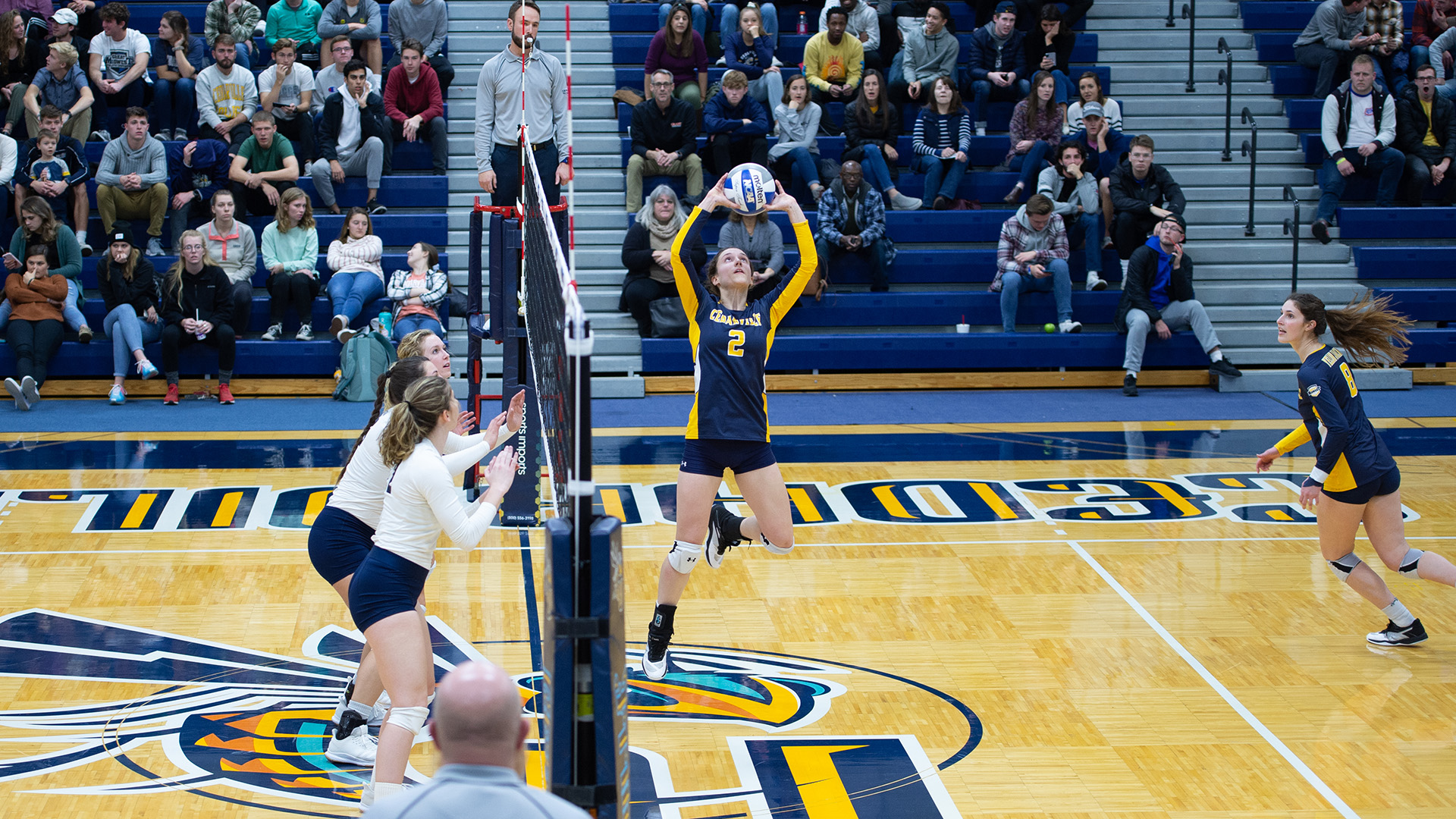 Lindsey Bray Women's Volleyball Cedarville University Athletics