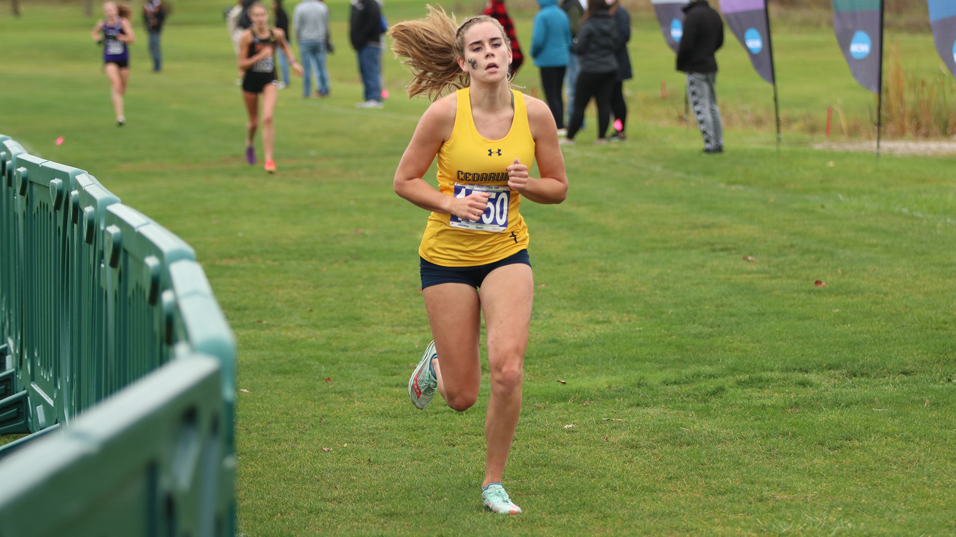 Haley Ansiel Women's Cross Country Cedarville University Athletics