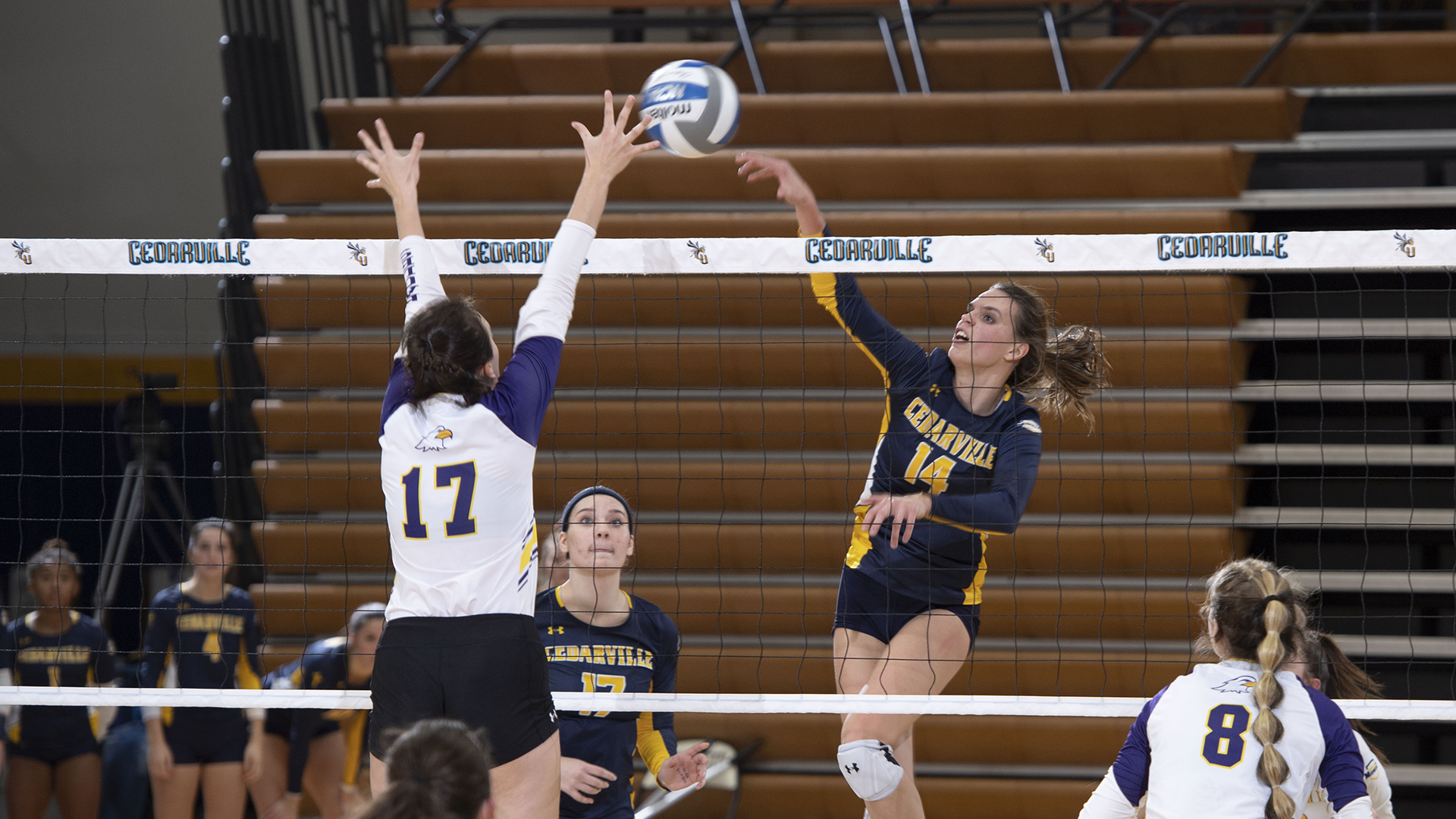Lauren Willow Women's Volleyball Cedarville University Athletics