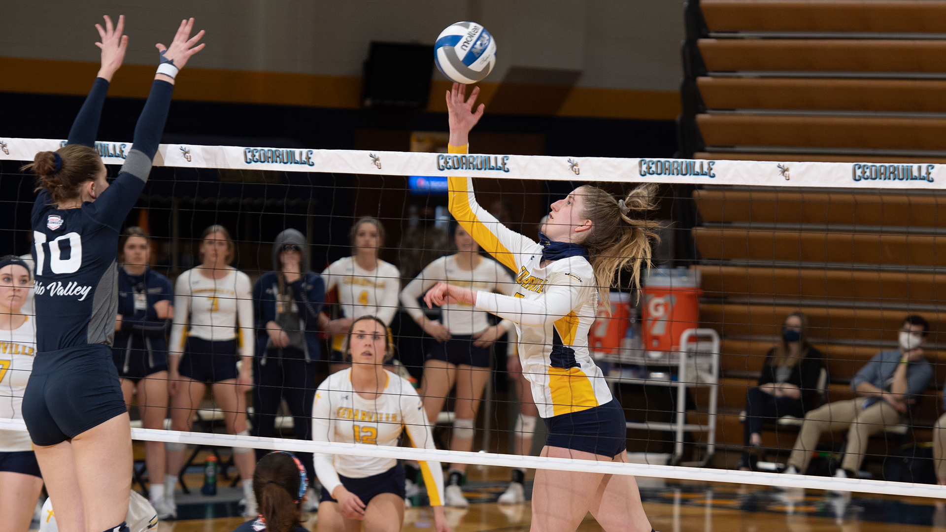 Liene Miller Women's Volleyball Cedarville University Athletics