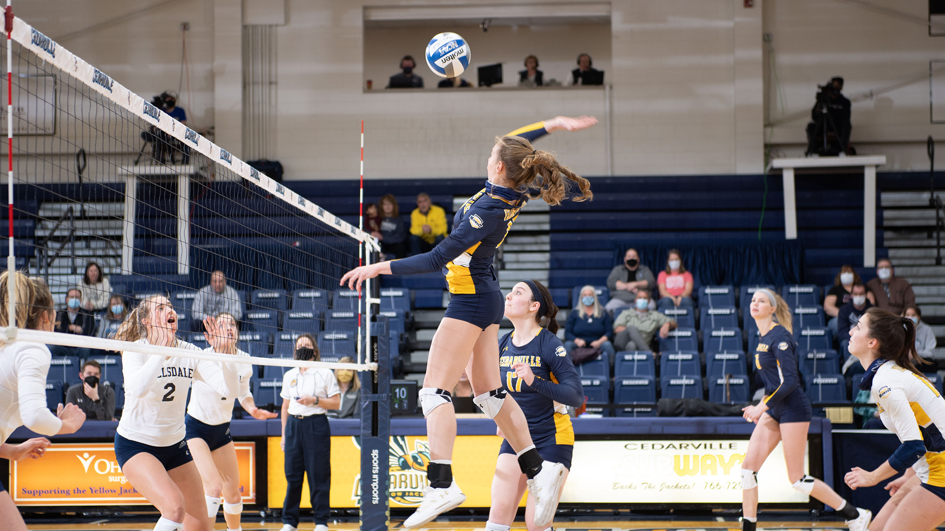 Hannah Willow Women's Volleyball Cedarville University Athletics