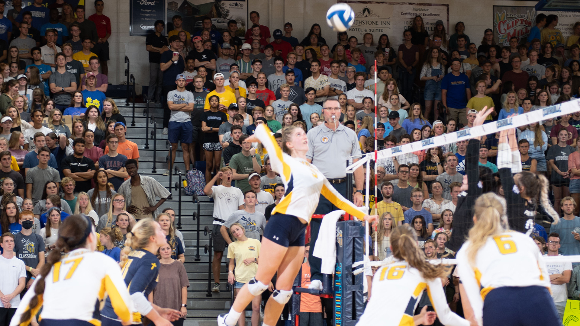 Liene Miller Women's Volleyball Cedarville University Athletics
