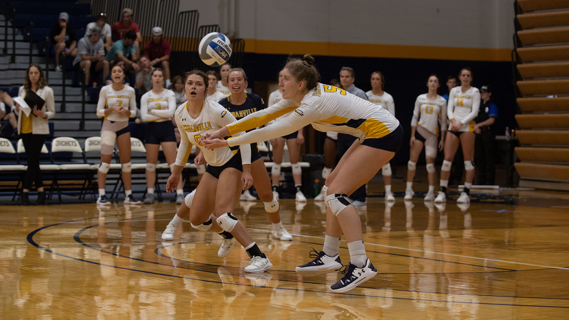 Liene Miller Women's Volleyball Cedarville University Athletics