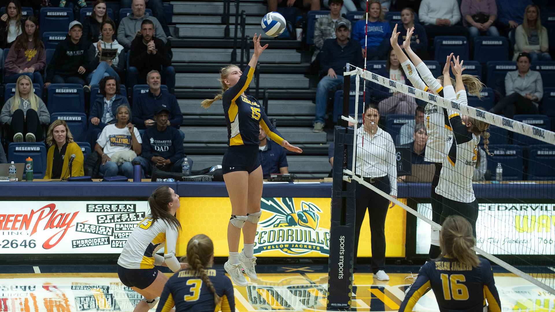 Cassi Shields Women's Volleyball Cedarville University Athletics