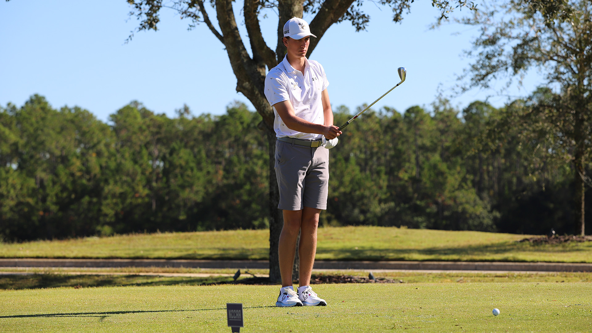 Will Evans Men's Golf Cedarville University Athletics