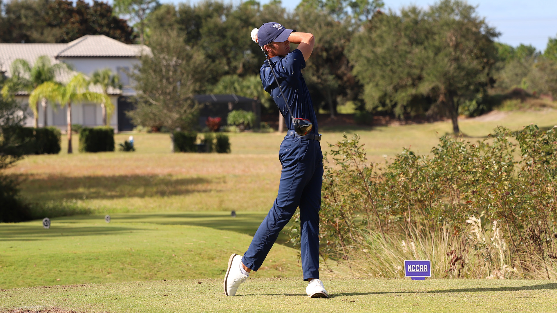 Dylan Ledford Men's Golf Cedarville University Athletics