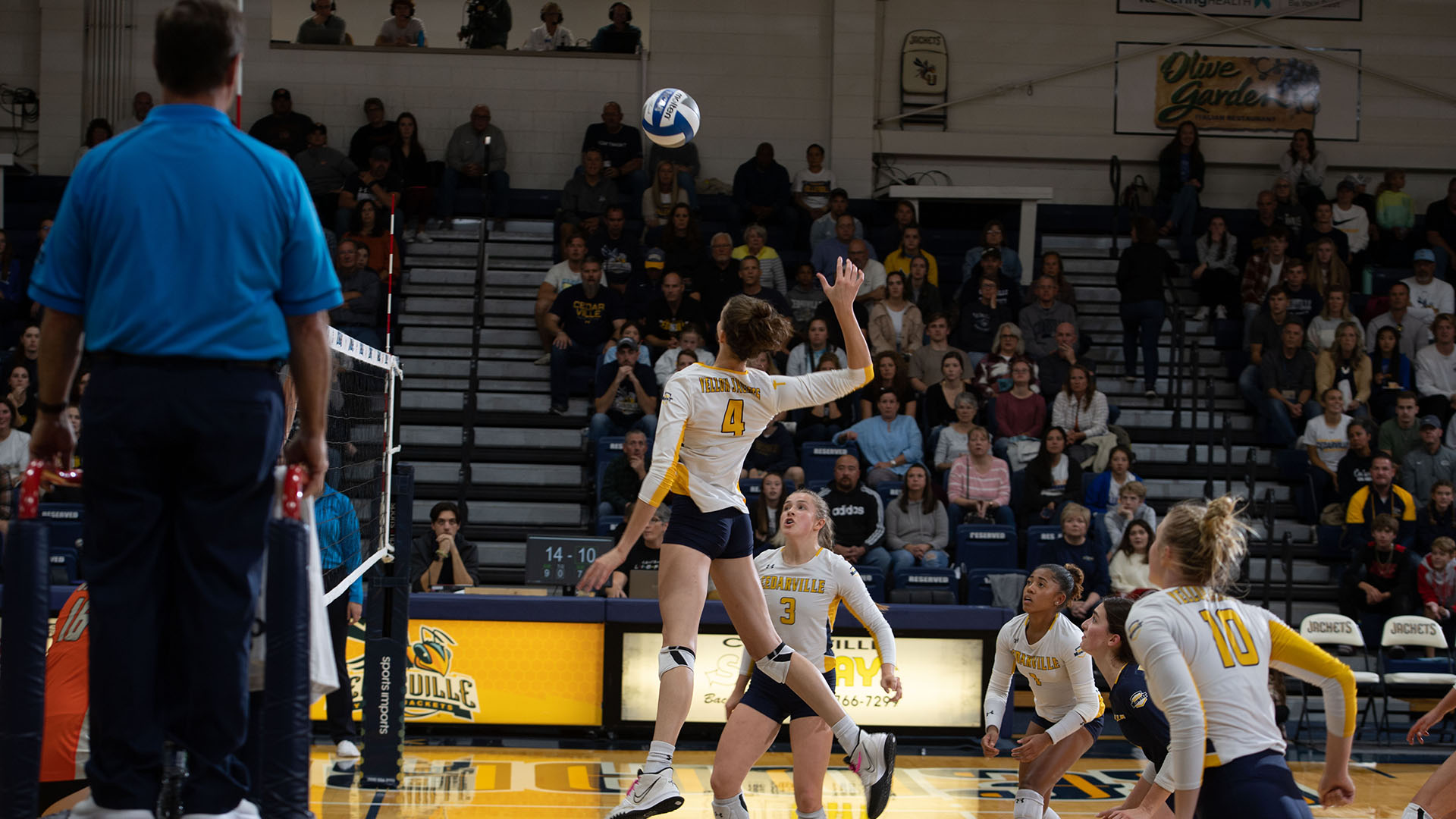 Janae Heegaard Women's Volleyball Cedarville University Athletics