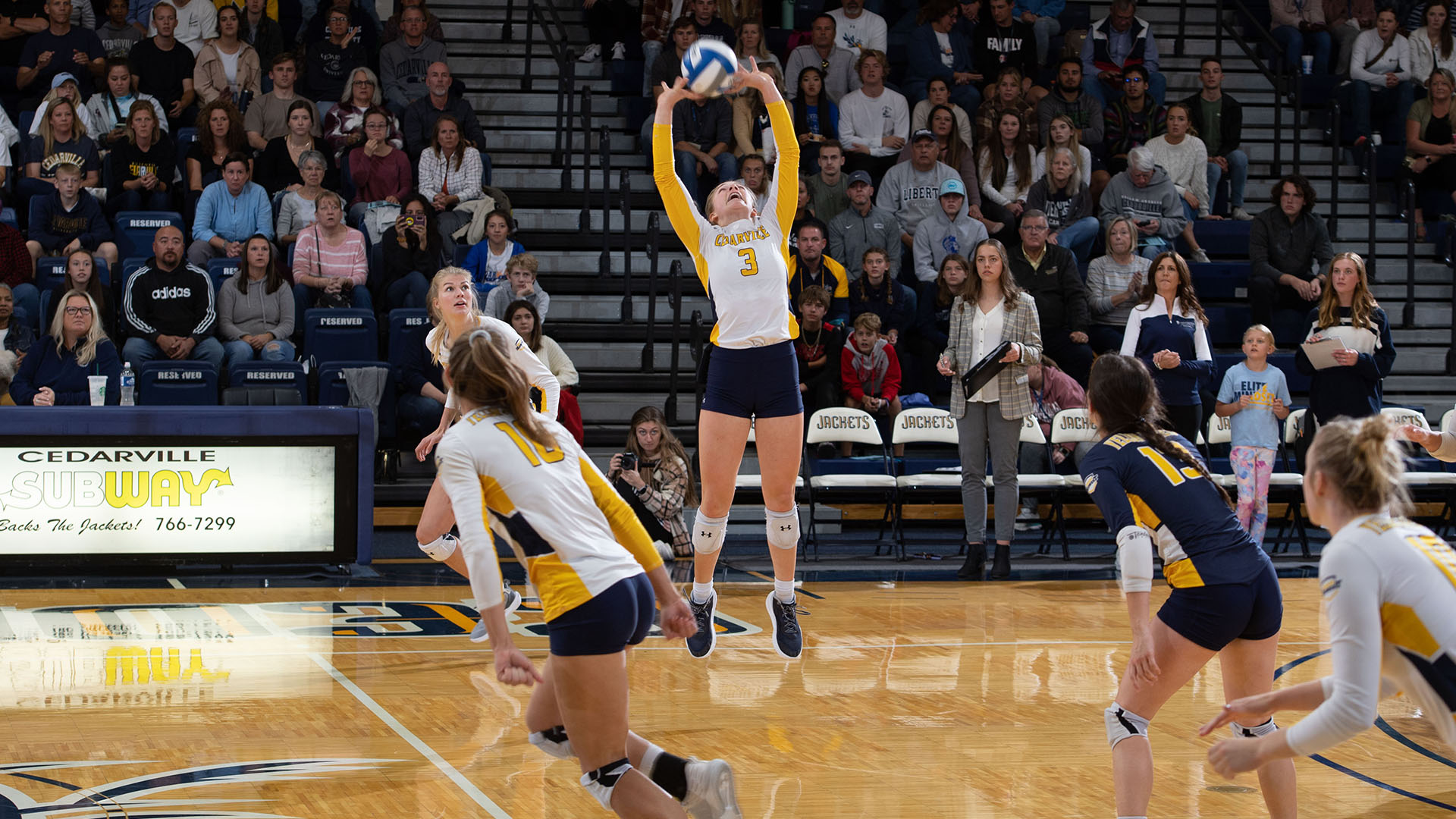 Kaley Matney Women's Volleyball Cedarville University Athletics