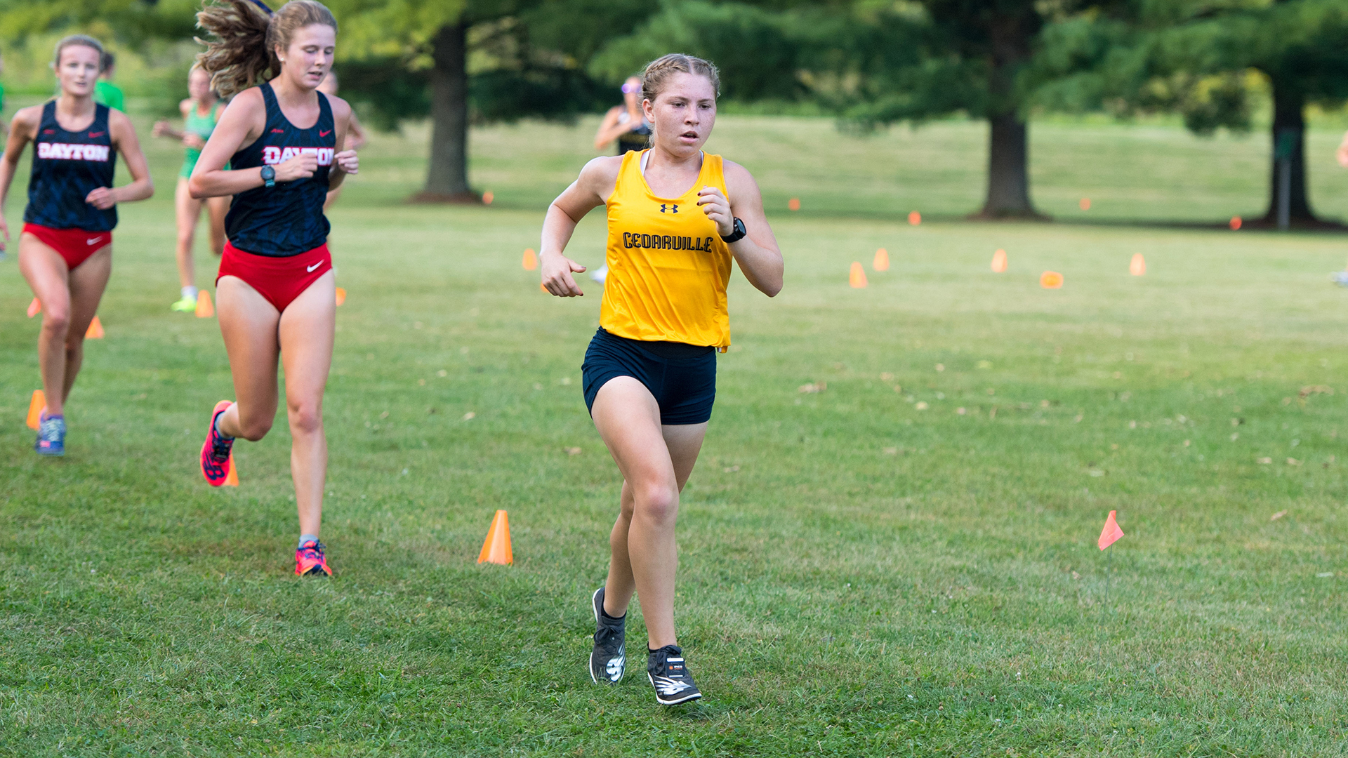 Corinne Lynch Women s Cross Country Cedarville University Athletics