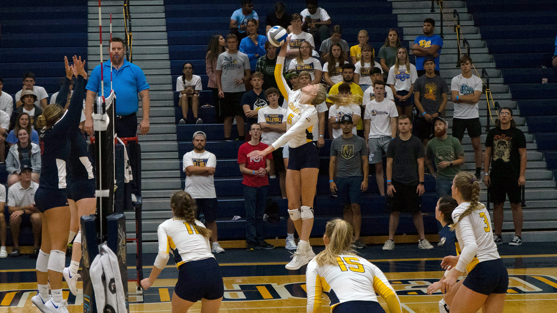 Riley Hensley Women's Volleyball Cedarville University Athletics