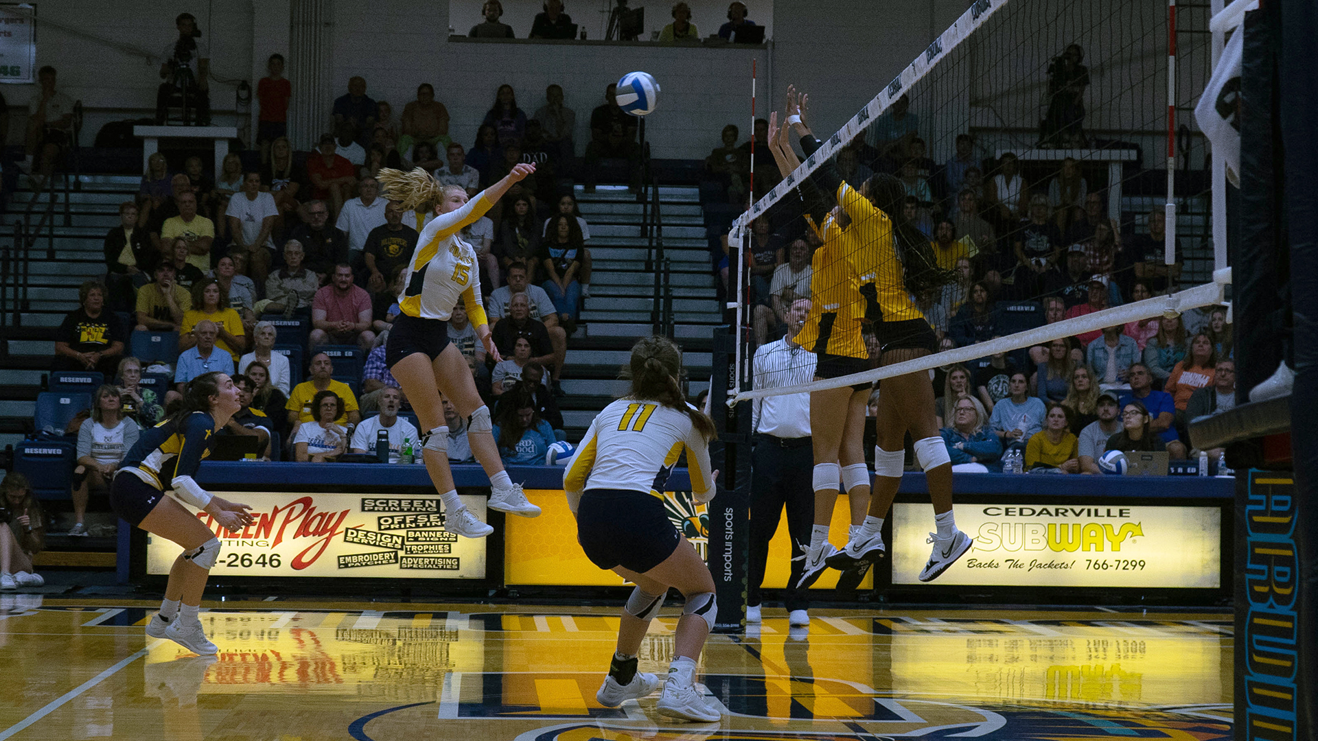 Cassi Shields Women's Volleyball Cedarville University Athletics