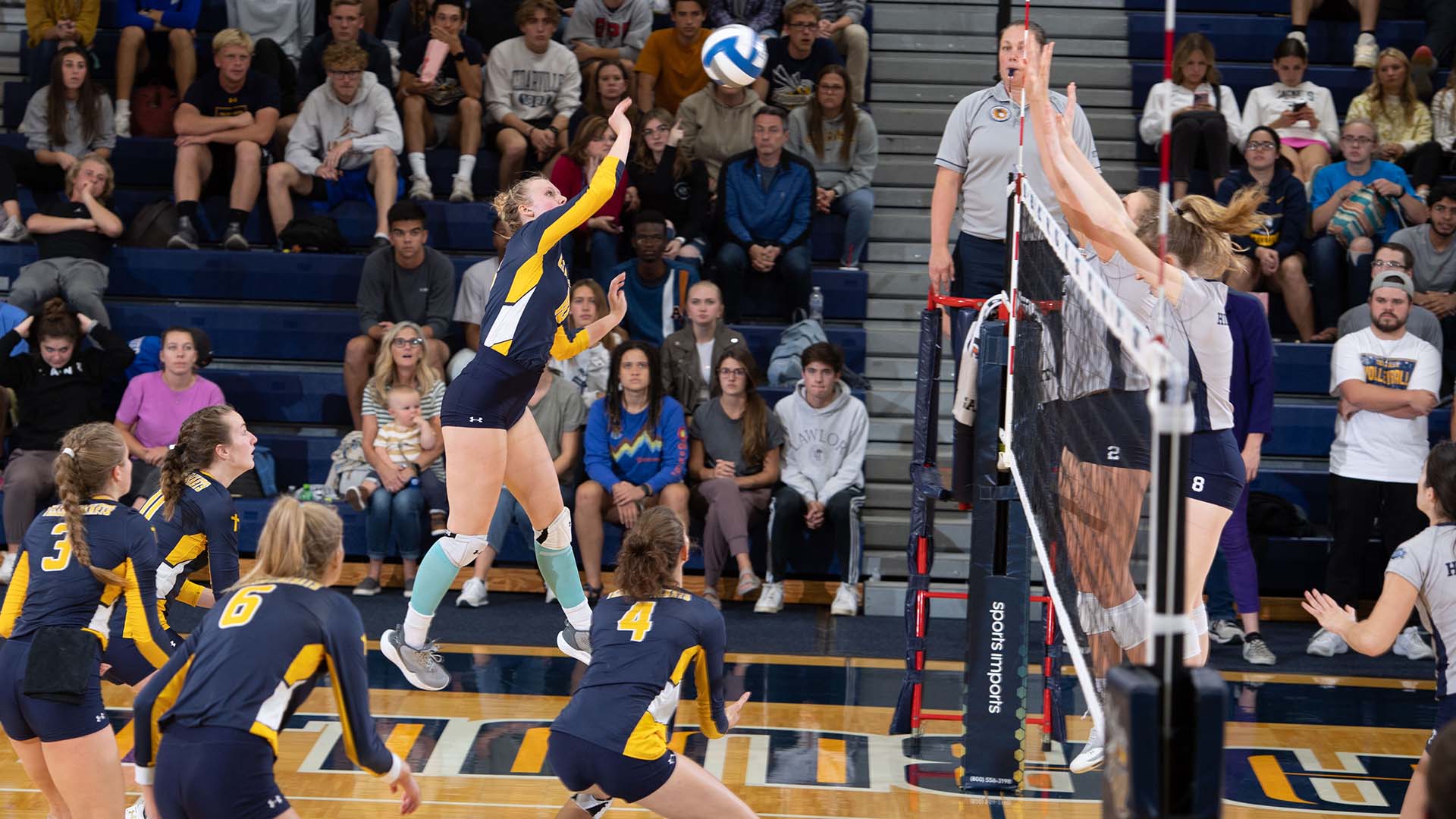 Cam Davenport Women's Volleyball Cedarville University Athletics