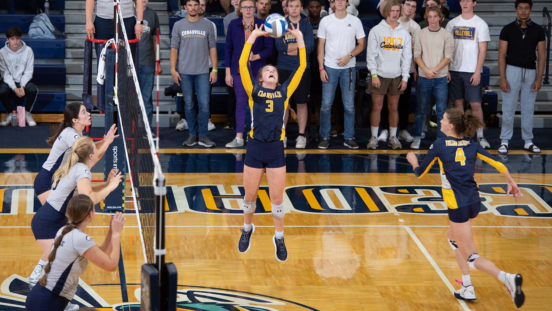 Kaley Matney Women's Volleyball Cedarville University Athletics
