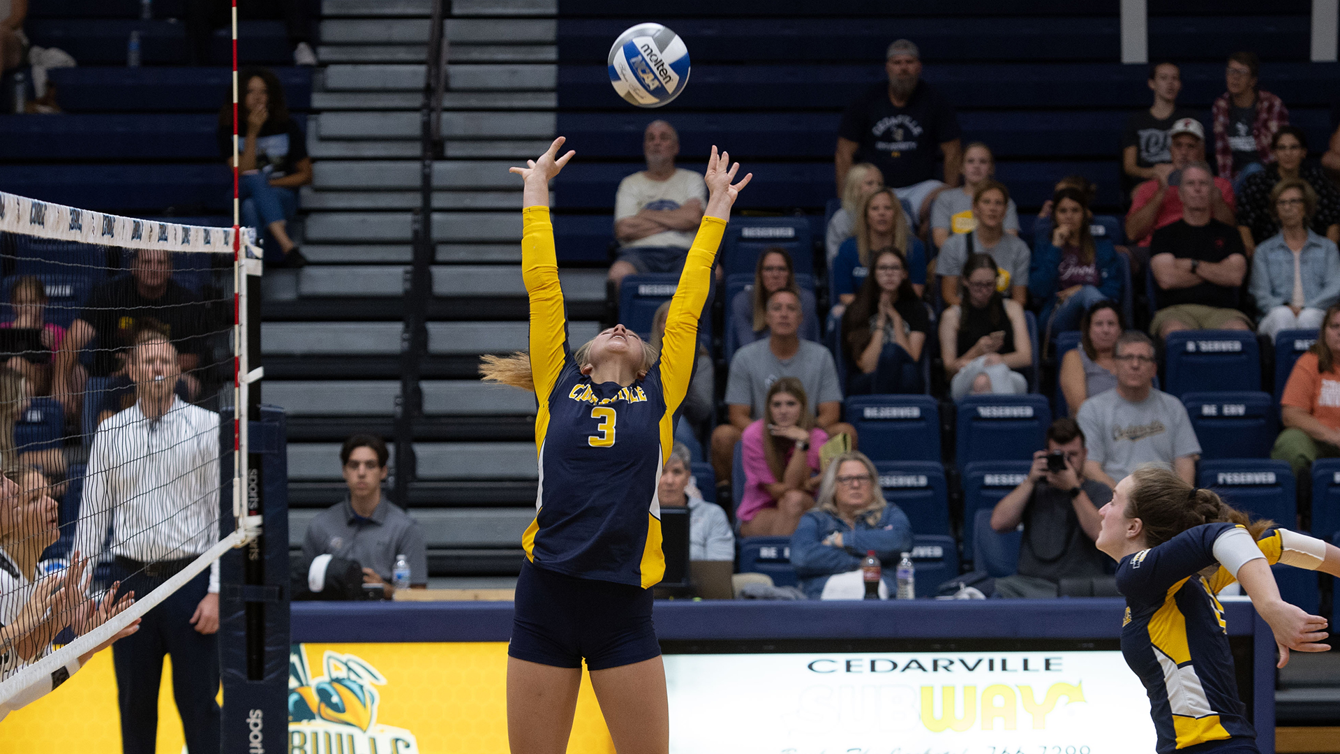 Kaley Matney Women's Volleyball Cedarville University Athletics