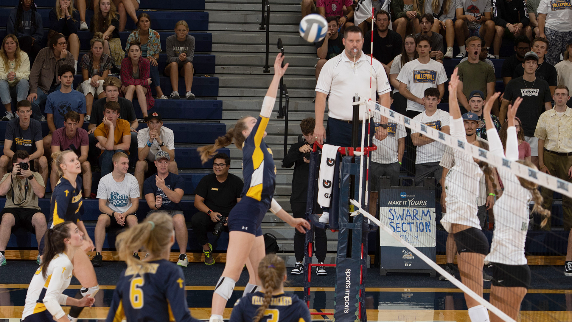 Haley Koch Women's Volleyball Cedarville University Athletics