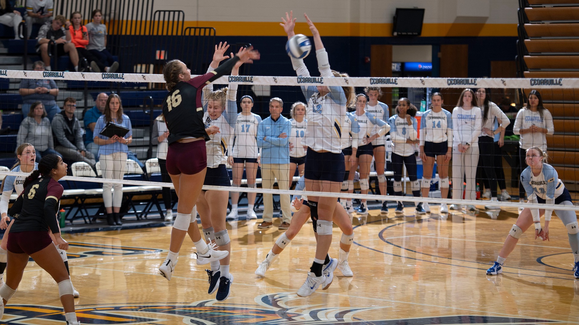Madelyn Hensley Women's Volleyball Cedarville University Athletics