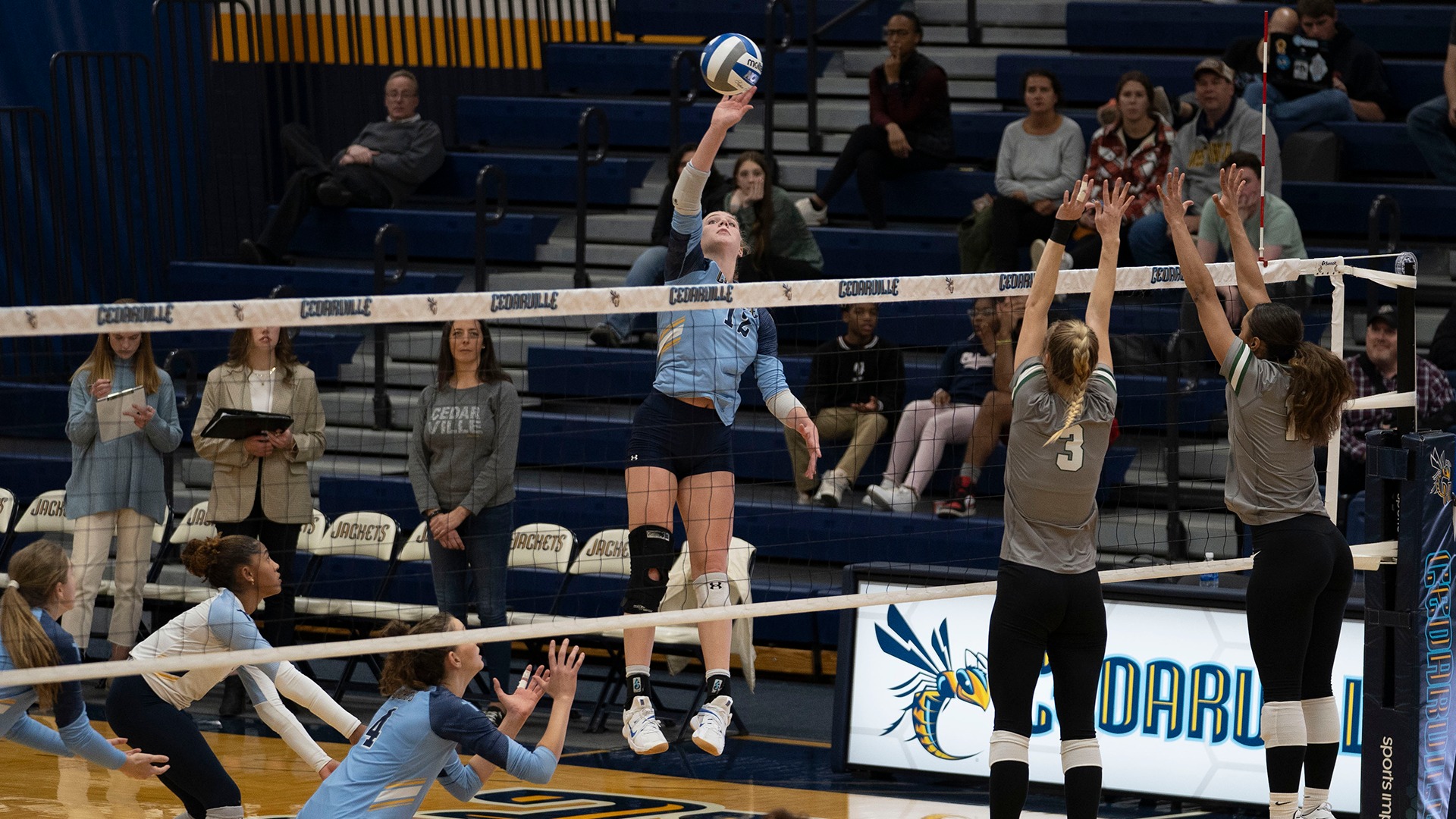 Madelyn Hensley Women's Volleyball Cedarville University Athletics