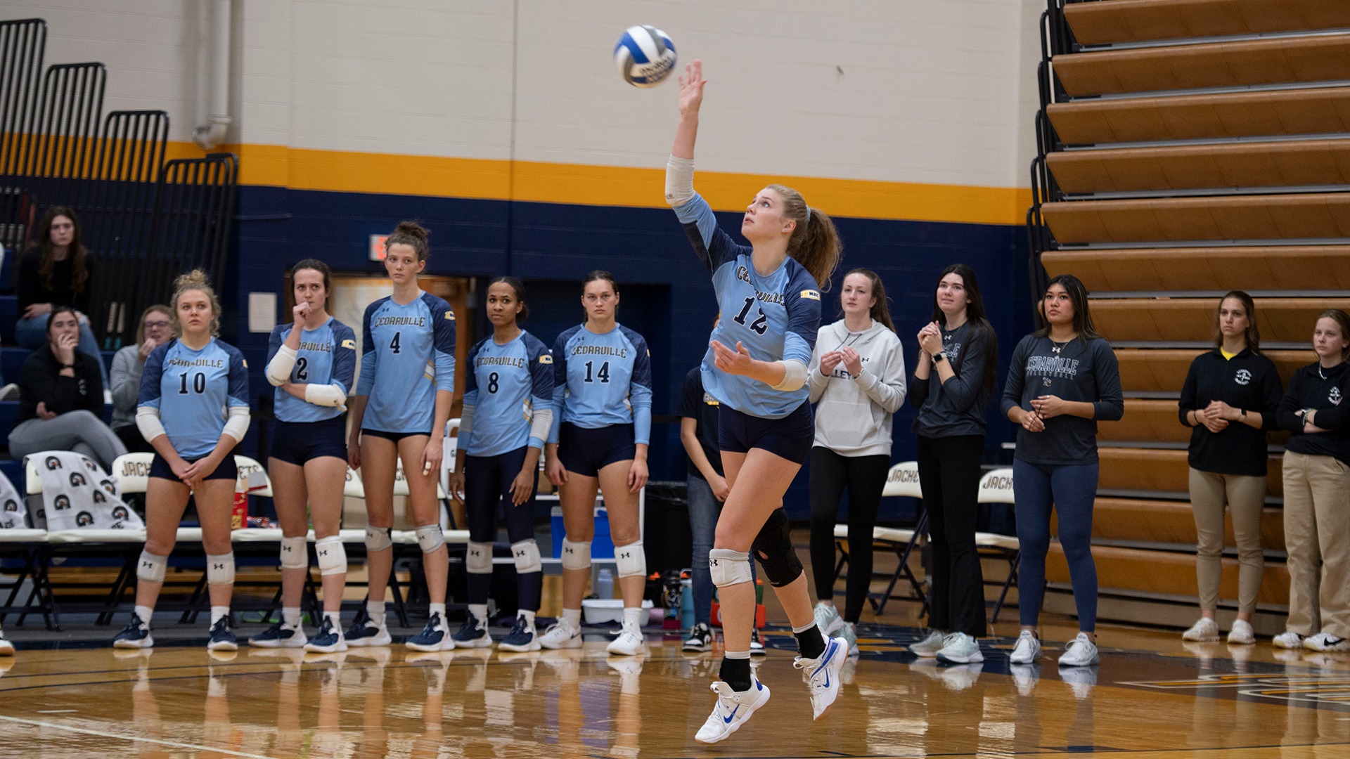 Madelyn Hensley Women's Volleyball Cedarville University Athletics