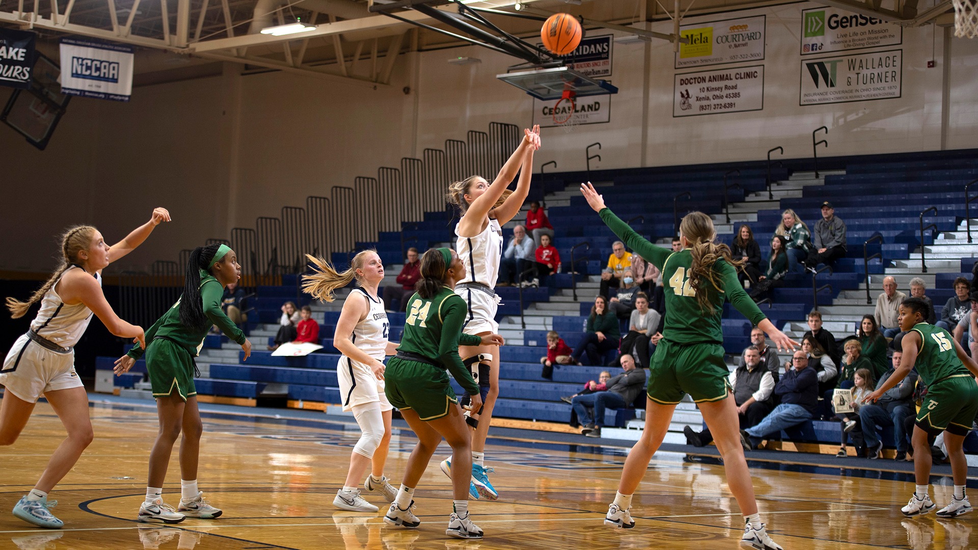 Makenna Fee Women's Basketball Cedarville University Athletics