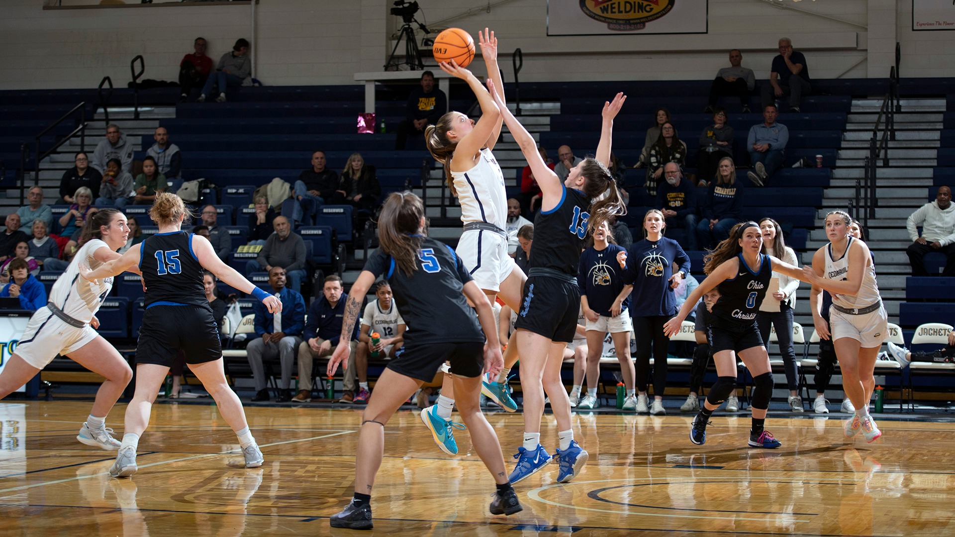 Makenna Fee Women's Basketball Cedarville University Athletics