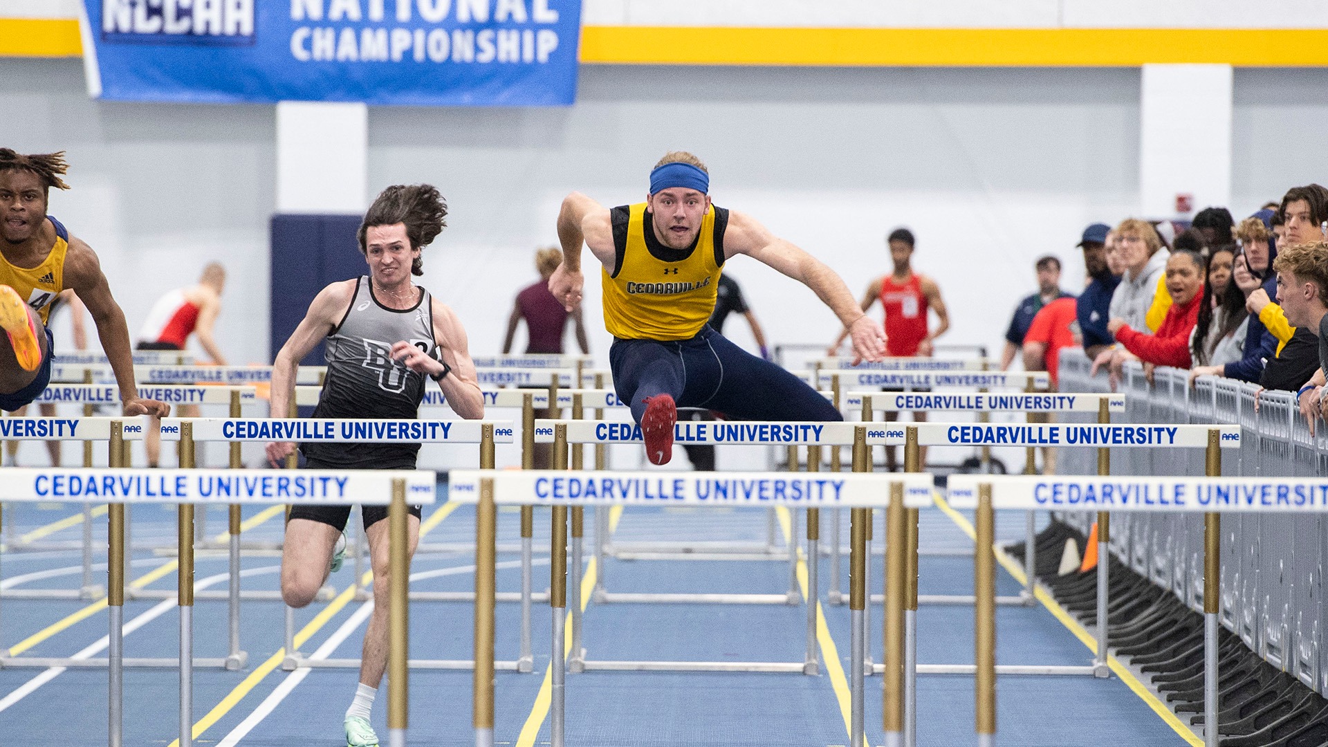 David Entz Men's Track & Field Cedarville University Athletics