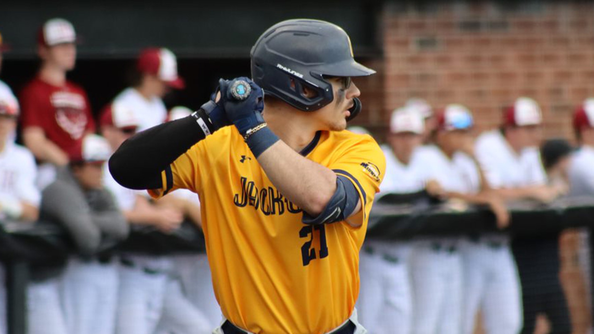 Daniel Sewak Baseball Cedarville University Athletics