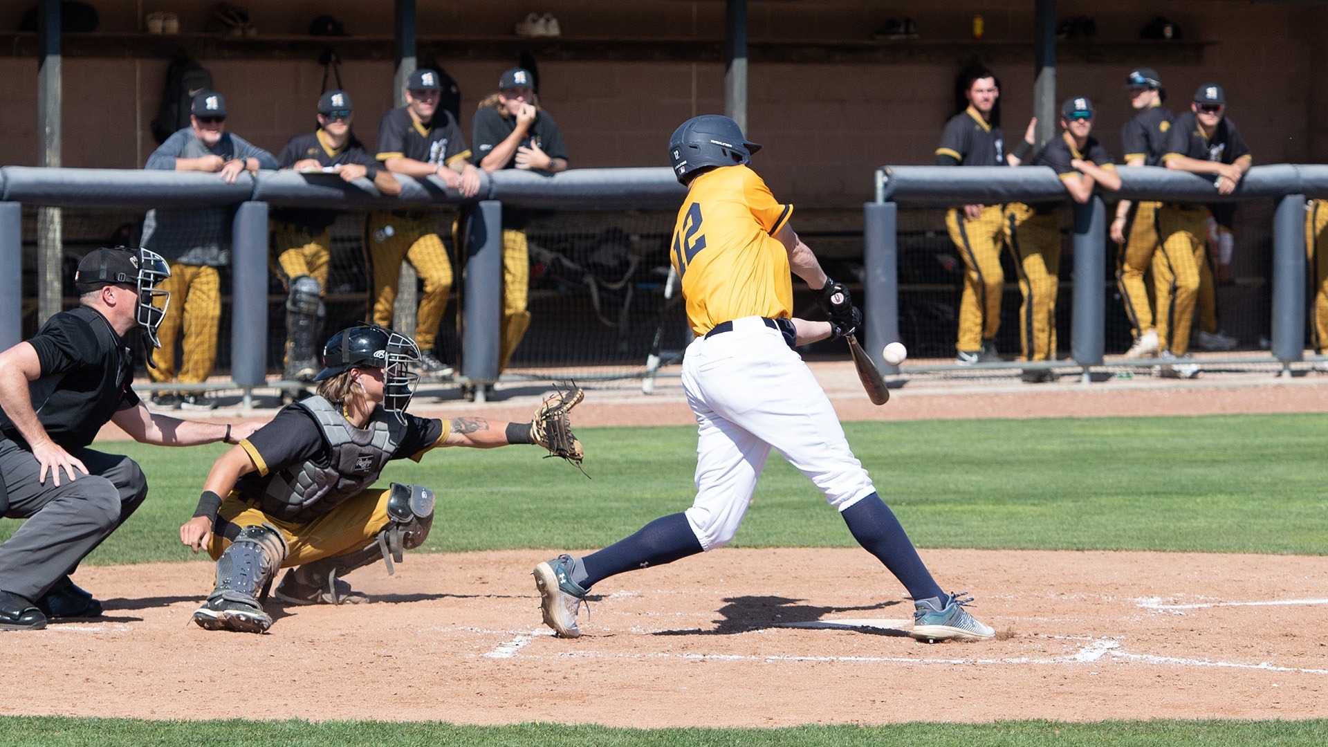 Seth Hale Baseball Cedarville University Athletics