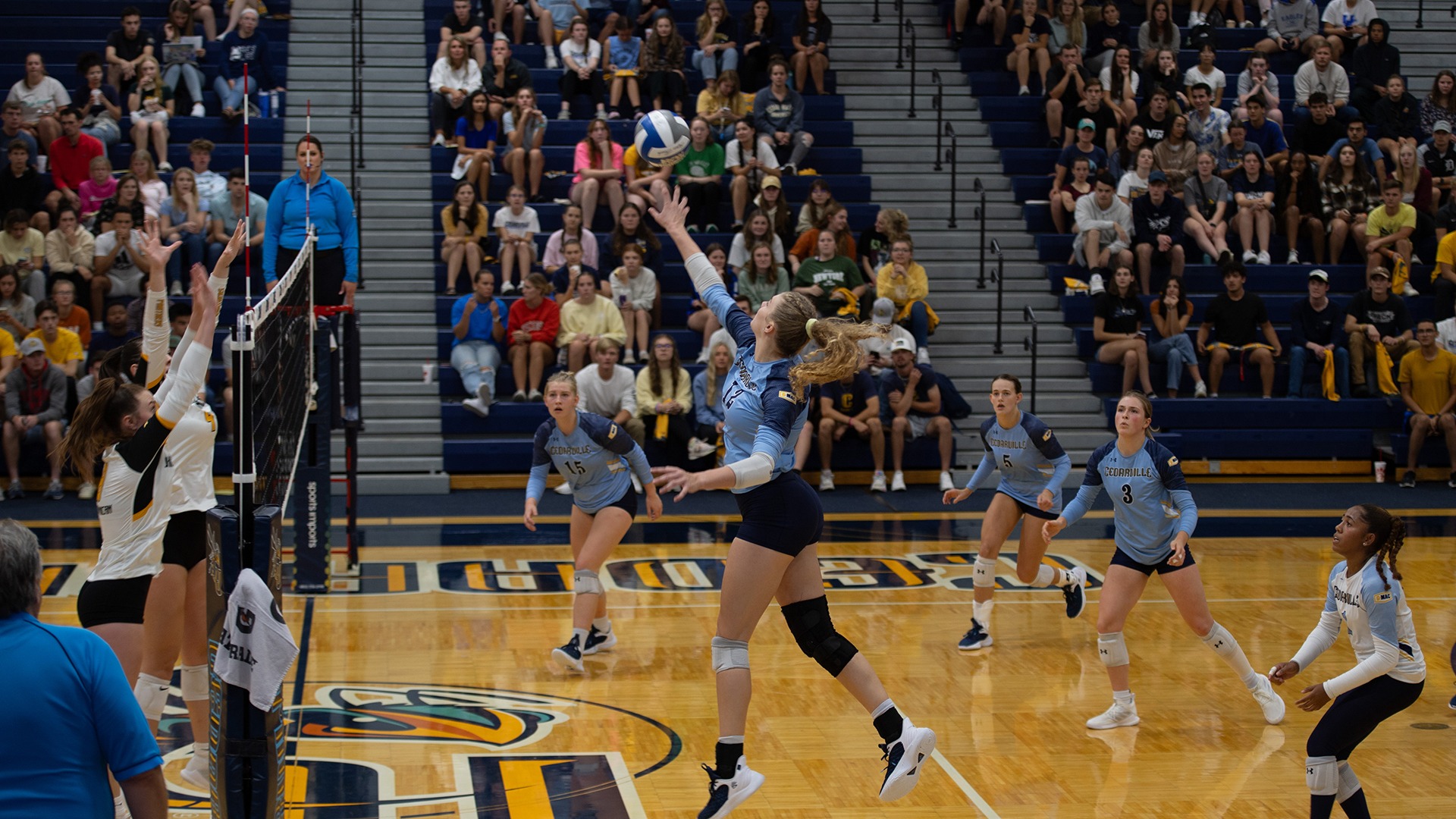 Madelyn Hensley Women's Volleyball Cedarville University Athletics