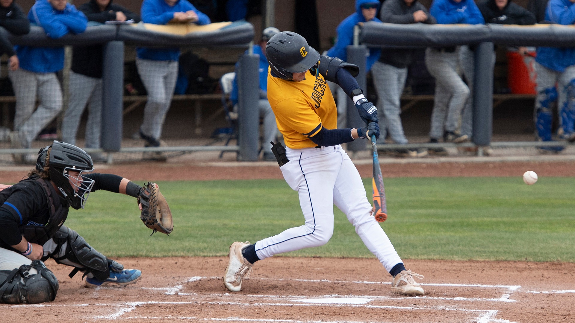Kale Ebling Baseball Cedarville University Athletics