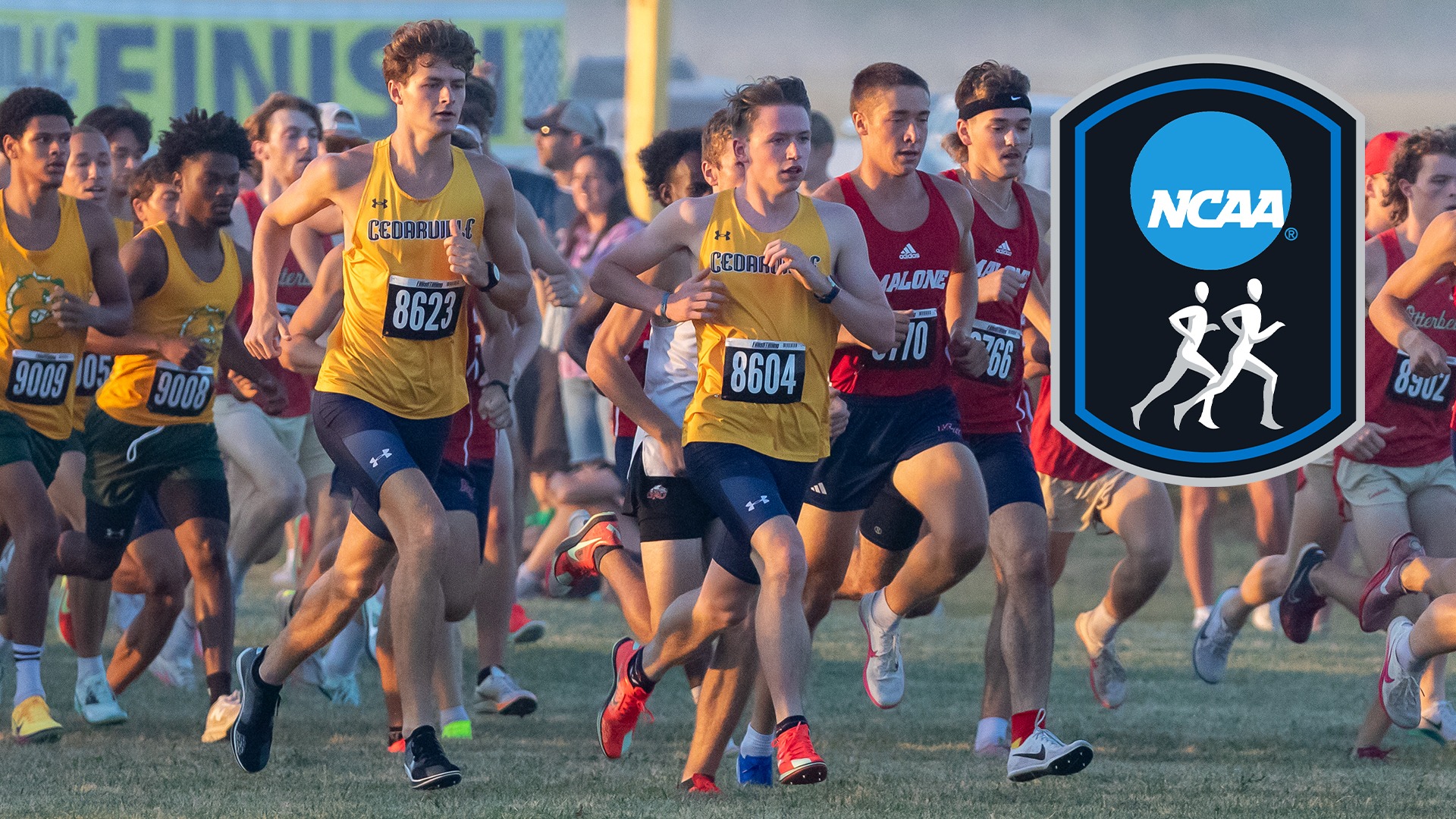 2025 Men's Cross Country Midwest Region Preview