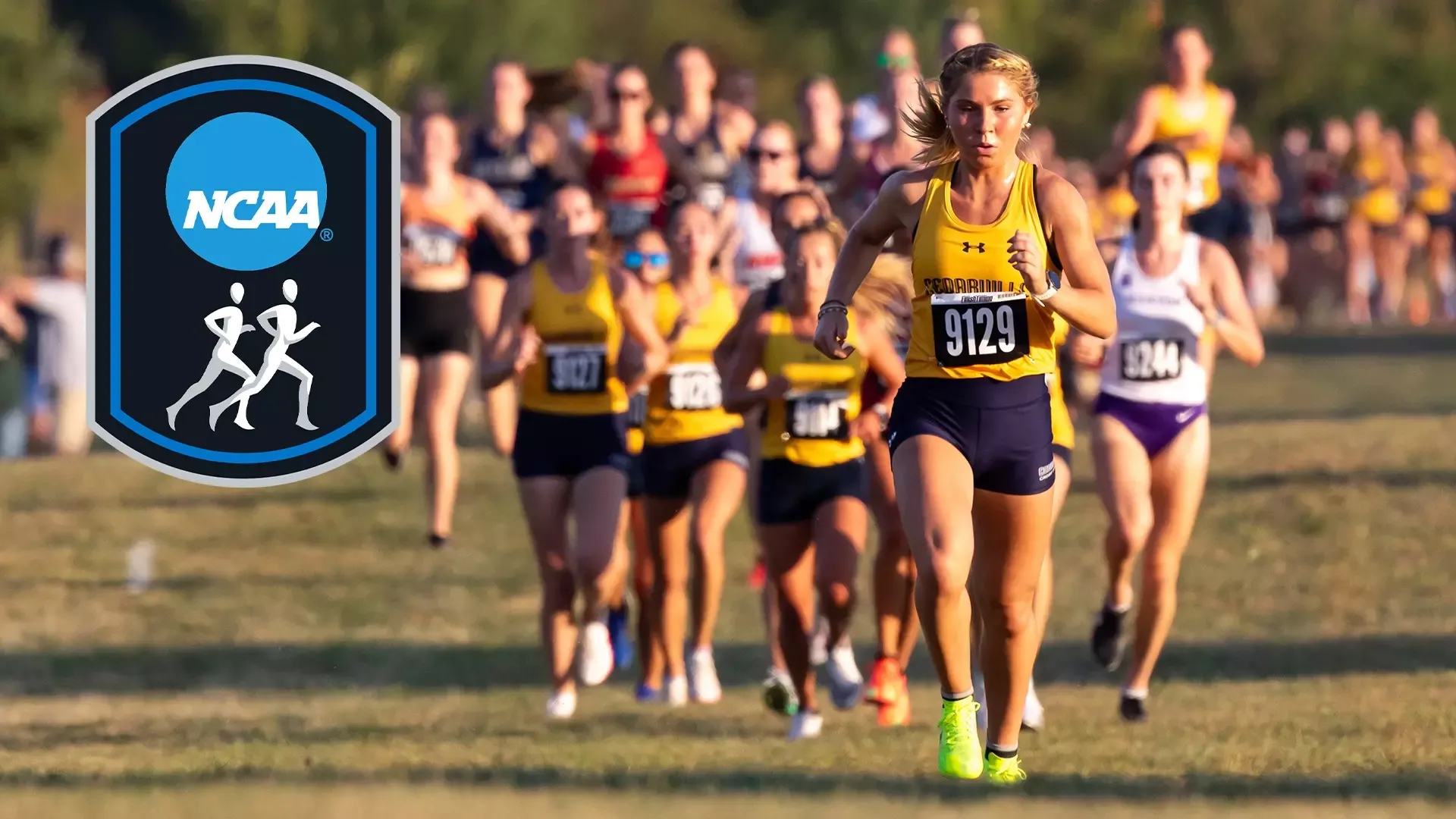 2025 Women's Cross Country Midwest Region Preview