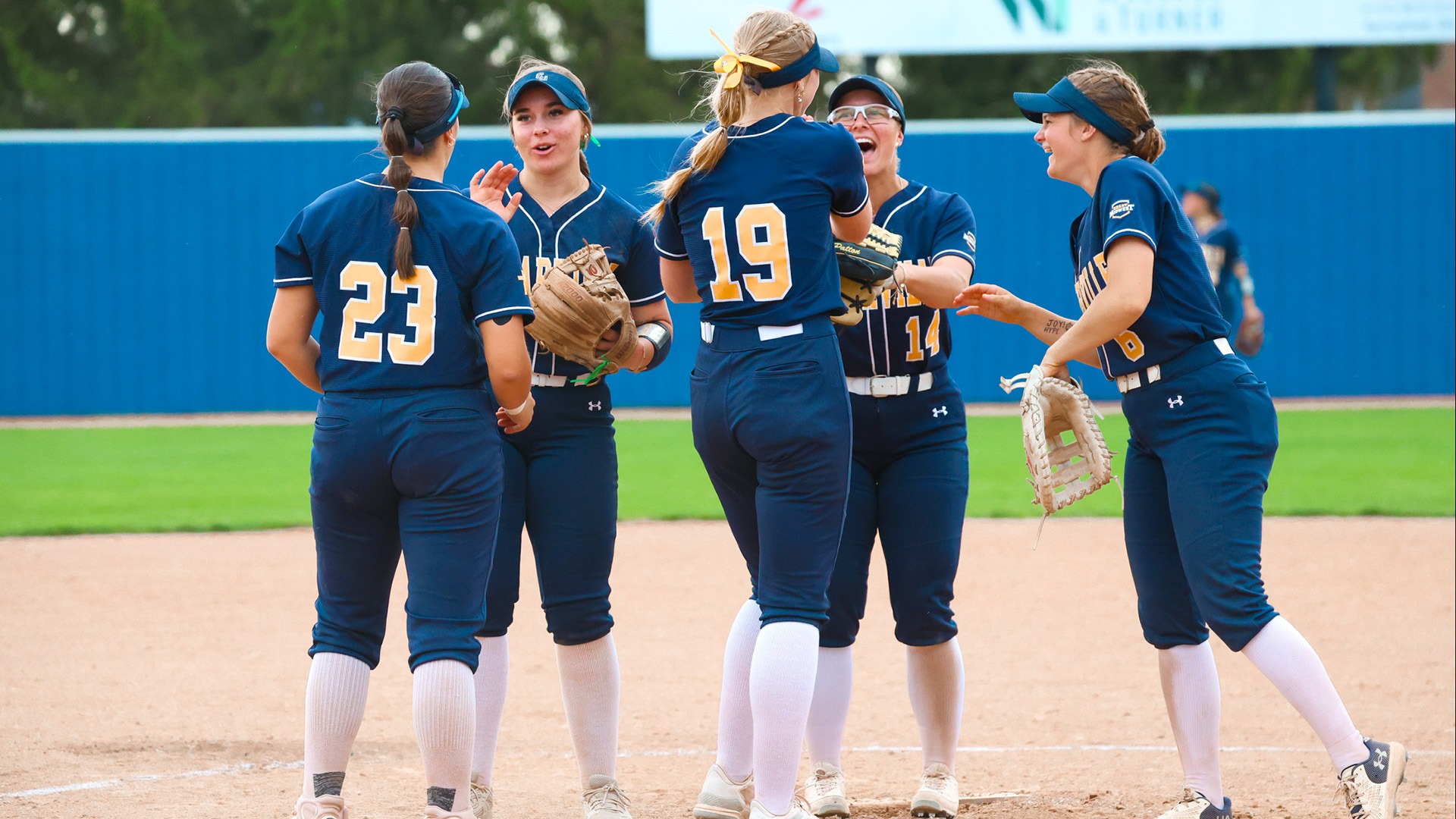 Softball vs. Lake Erie