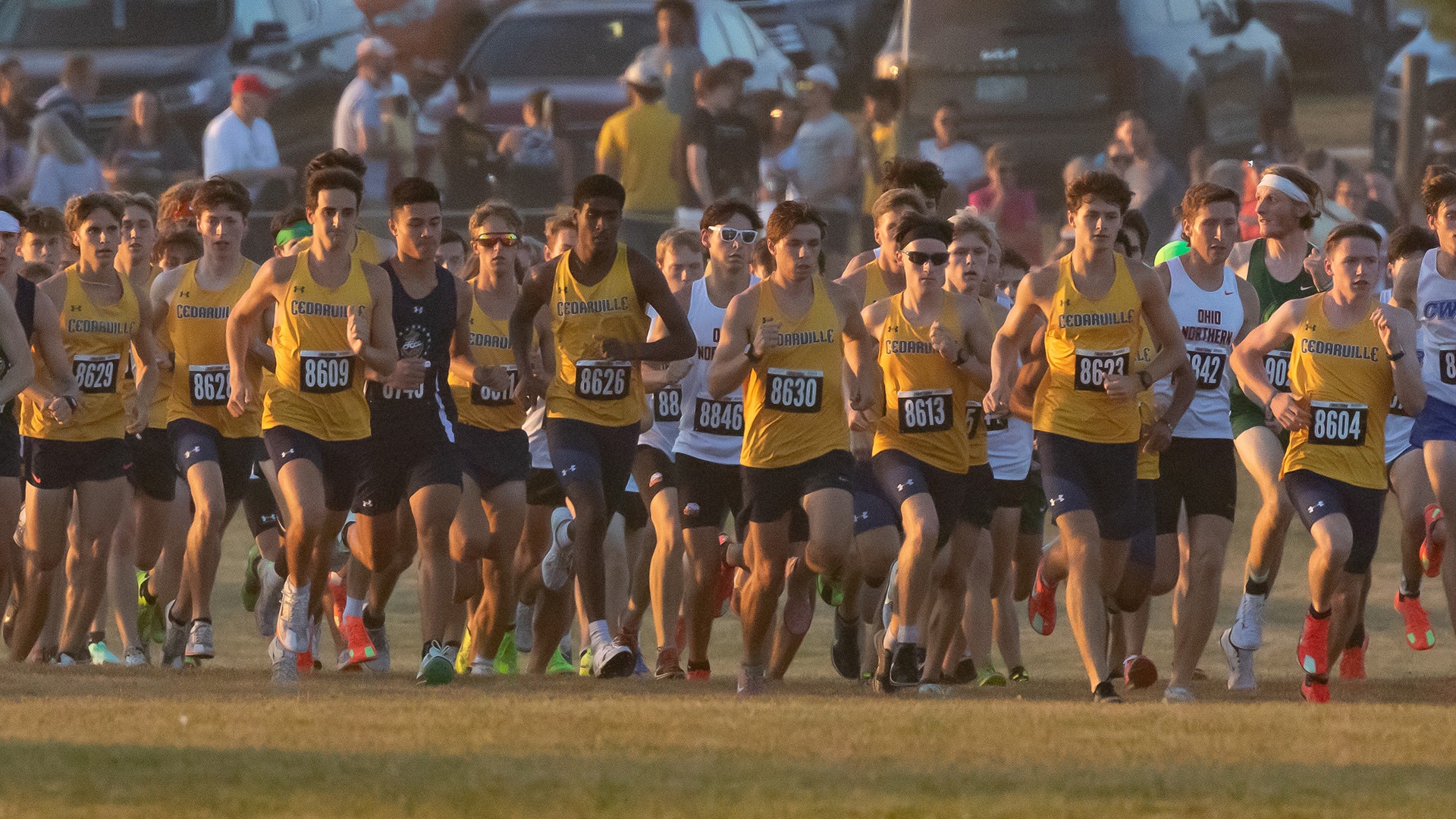 2025 All-Ohio Men's Cross Country Start Line