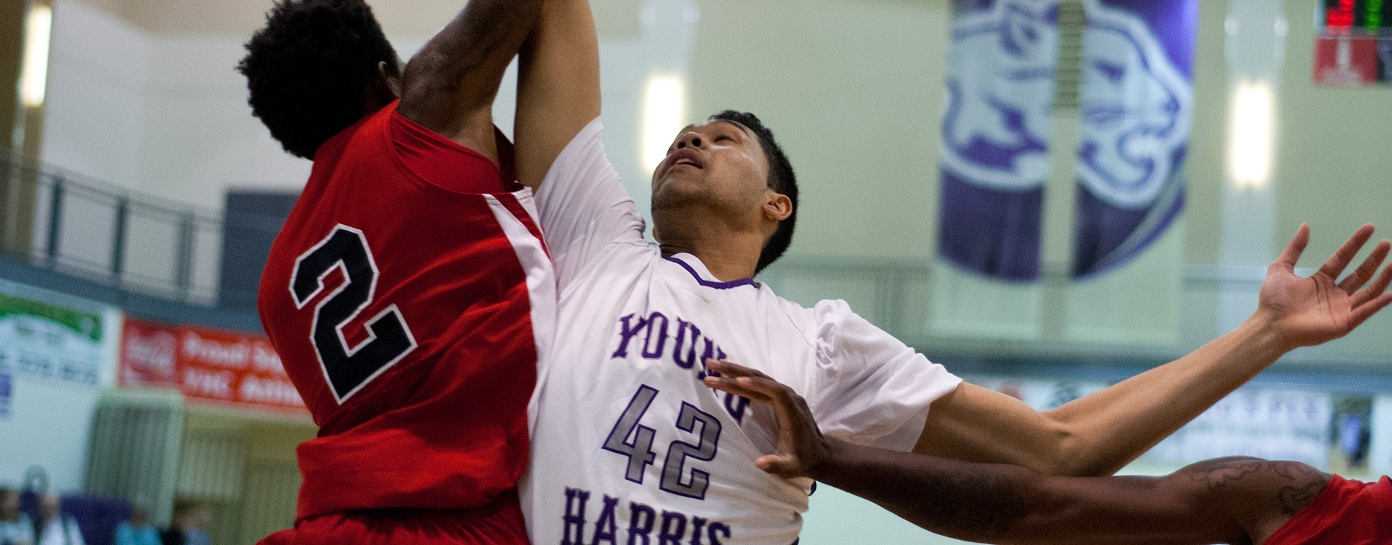 James Laput Men's Basketball Young Harris College Athletics