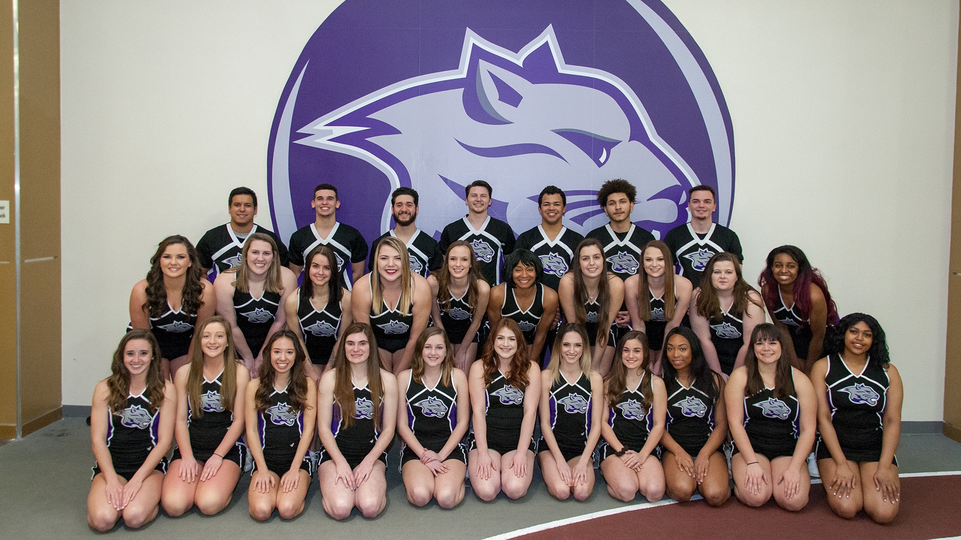 2018-19 Competitive Cheerleading Team